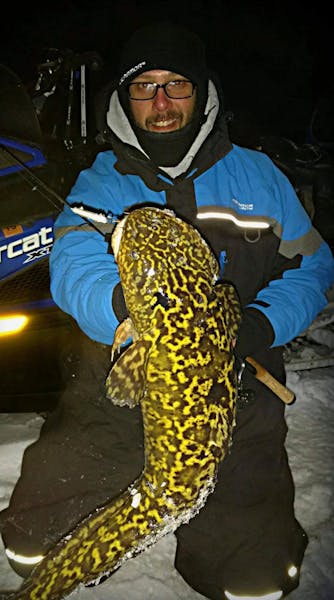 Bemidji-area fishing guide Matt Breuer posed with one of his favorite wintertime catches: a monster burbot.