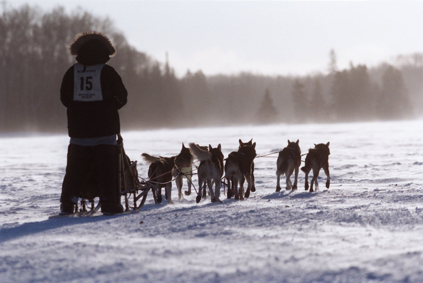 &#x201c;It&#x2019;s gorgeous, it&#x2019;s stunning, you&#x2019;re flying through the trees and the sounds are soft.&#x201d; Composer and musician Robin Eschner, on her dog sledding experience Star Tribune file photo