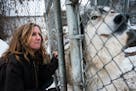 Peggy Callahan interacted with an affectionate wolf through its chainlink enclosure.
