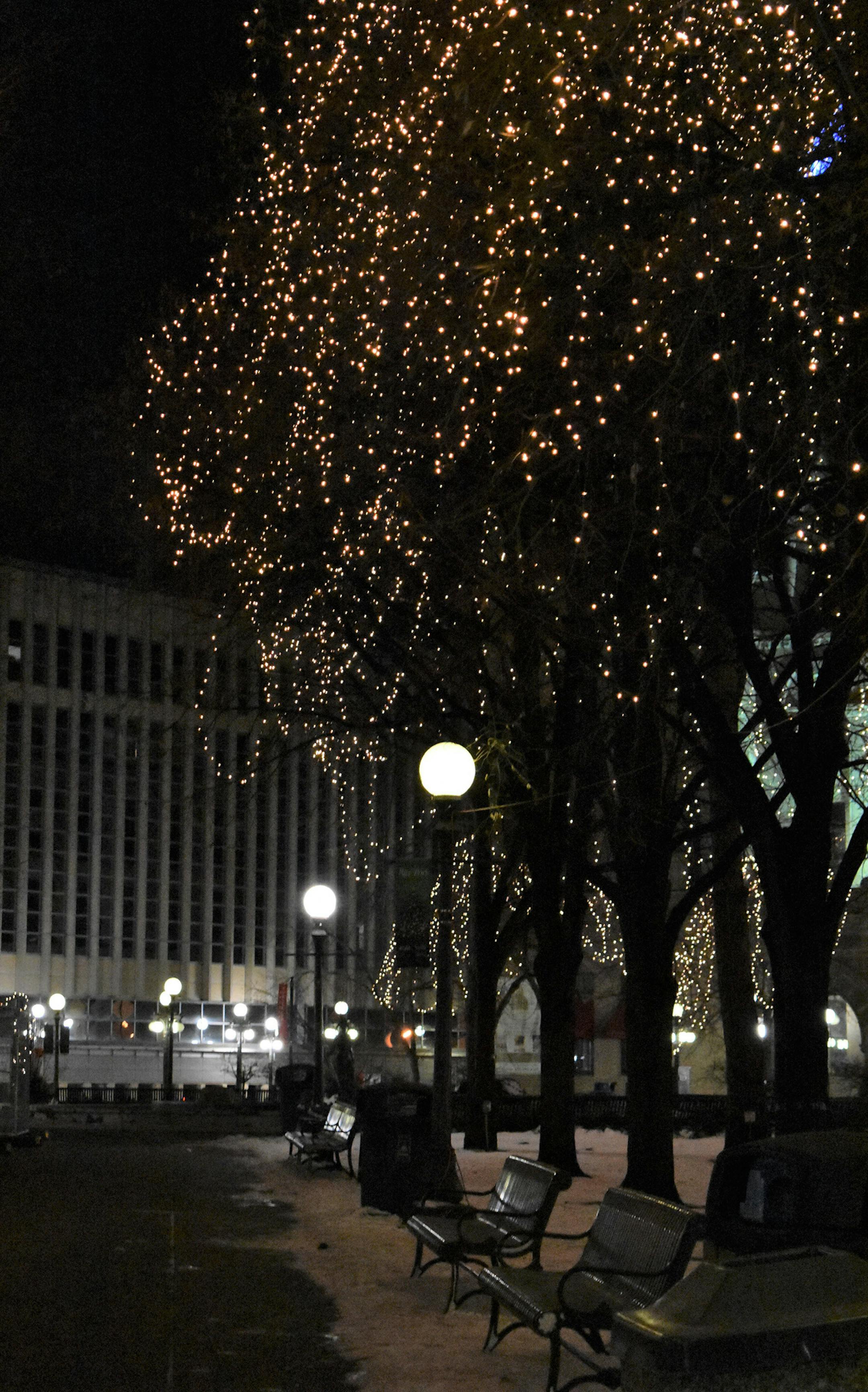 This picture was taken at Rice Park in downtown St. Paul last winter. The silence before a Wild game let out. Jenny Nguyen, Brooklyn Park, MN