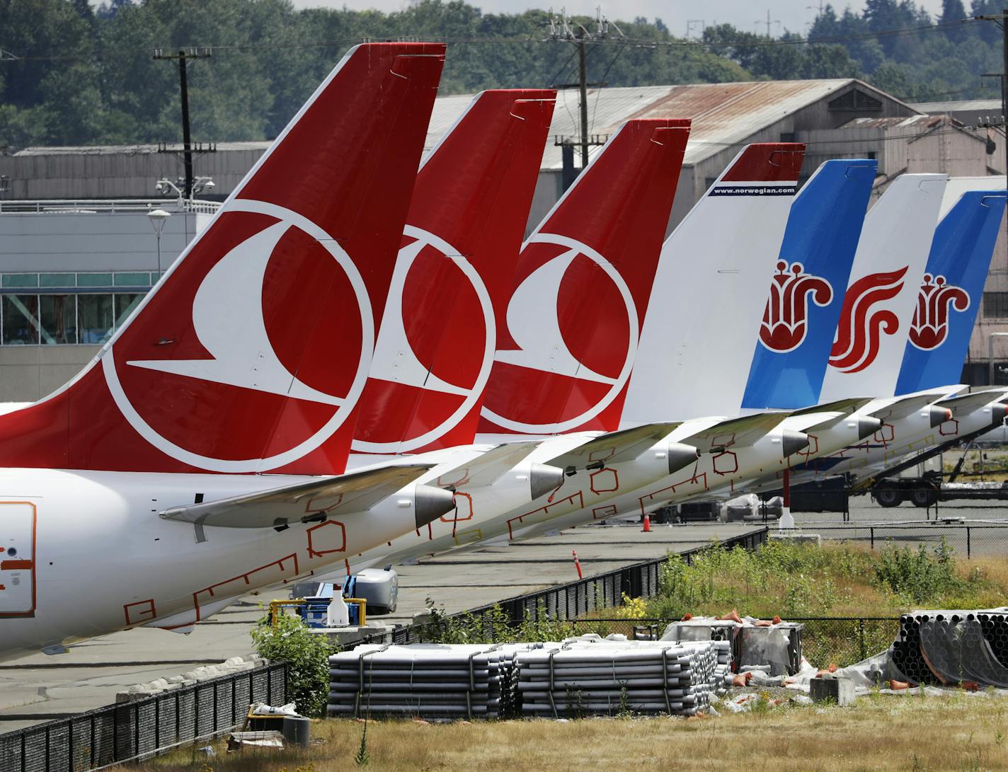 The tails of several of the dozens of grounded Boeing 737 MAX airplanes line the edge of a parking area adjacent to Boeing Field Thursday, June 27, 2019, in Seattle. A new software problem has been found in the troubled Boeing 737 Max that could push the plane's nose down automatically, and fixing the flaw is almost certain to further delay the plane's return to flying after two deadly crashes. Boeing said Wednesday, June 26, 2019, that the FAA "identified an additional requirement" for software