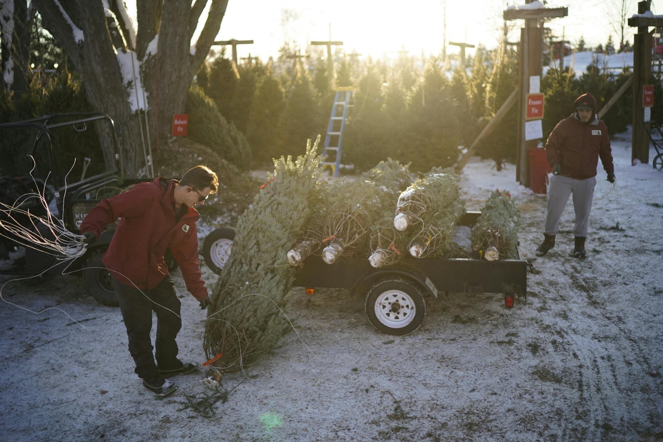 Logan Schilling, 17, left, the third generation of the Krueger family to run the Christmas Tree Farm, unloaded trees for the pre-cut lot with Toby Weiss.