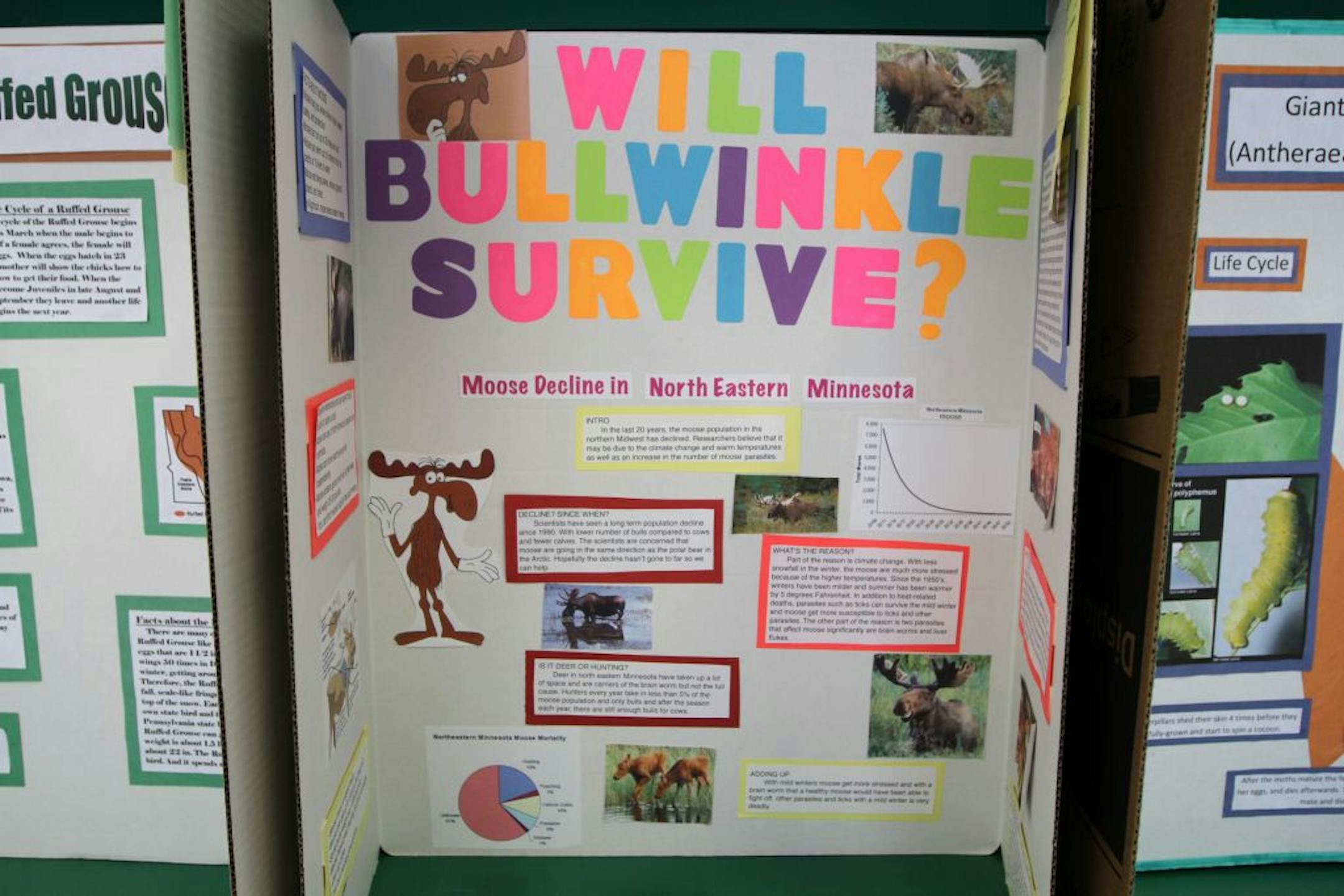 How Will Bullwinkle Survive? is among the topics on display at the 4-H Building at the Minnesota State Fair.