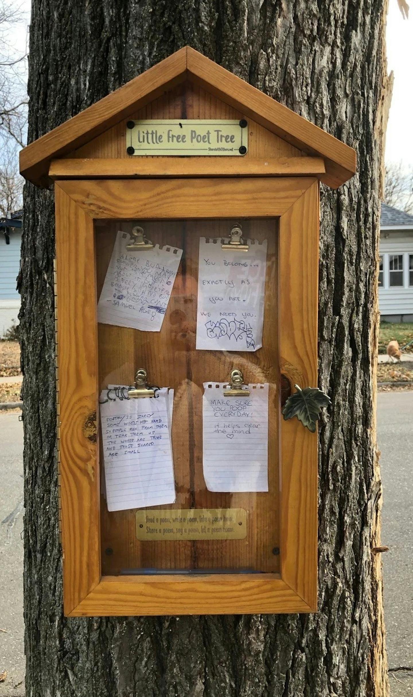 photo of tree with box affixed to it