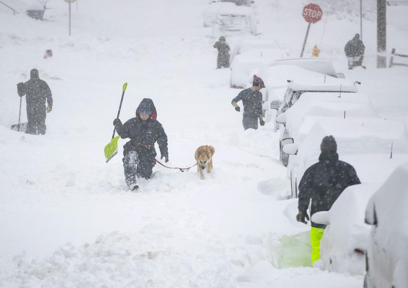 Neighbors worked together Sunday morning in an effort to clear out as much snow as possible from E. 8th St. in Duluth, Minn.