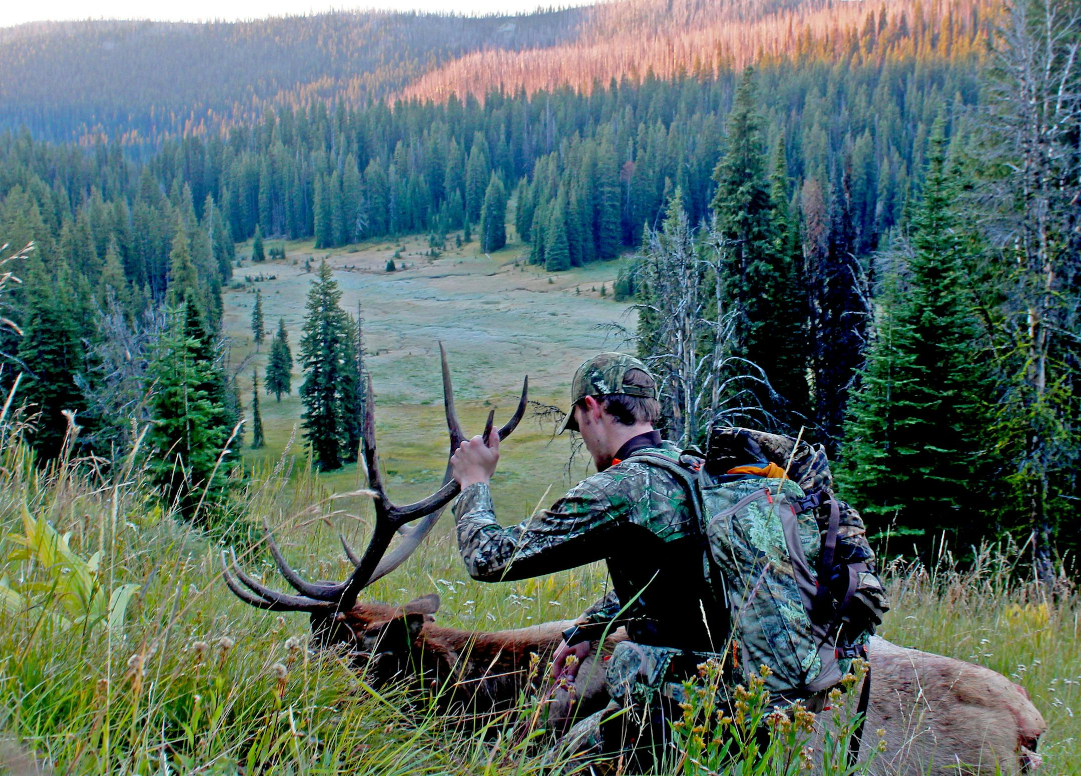 Alec Underwood, a student at the University of Montana in Missoula, arrowed this 5x5 bull on opening weekend of the 2014 Montana archery elk season.