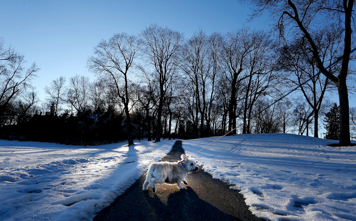 A man walked his dog along the Dakota Regional Trail in Wayzata.