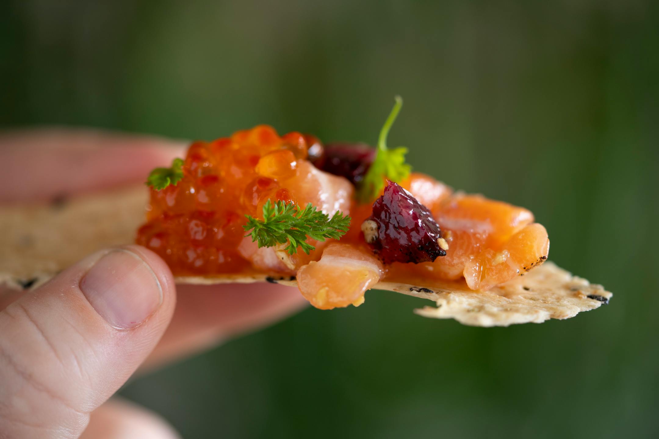 The cured salmon belly, with blood orange, hazelnut and kumquat.