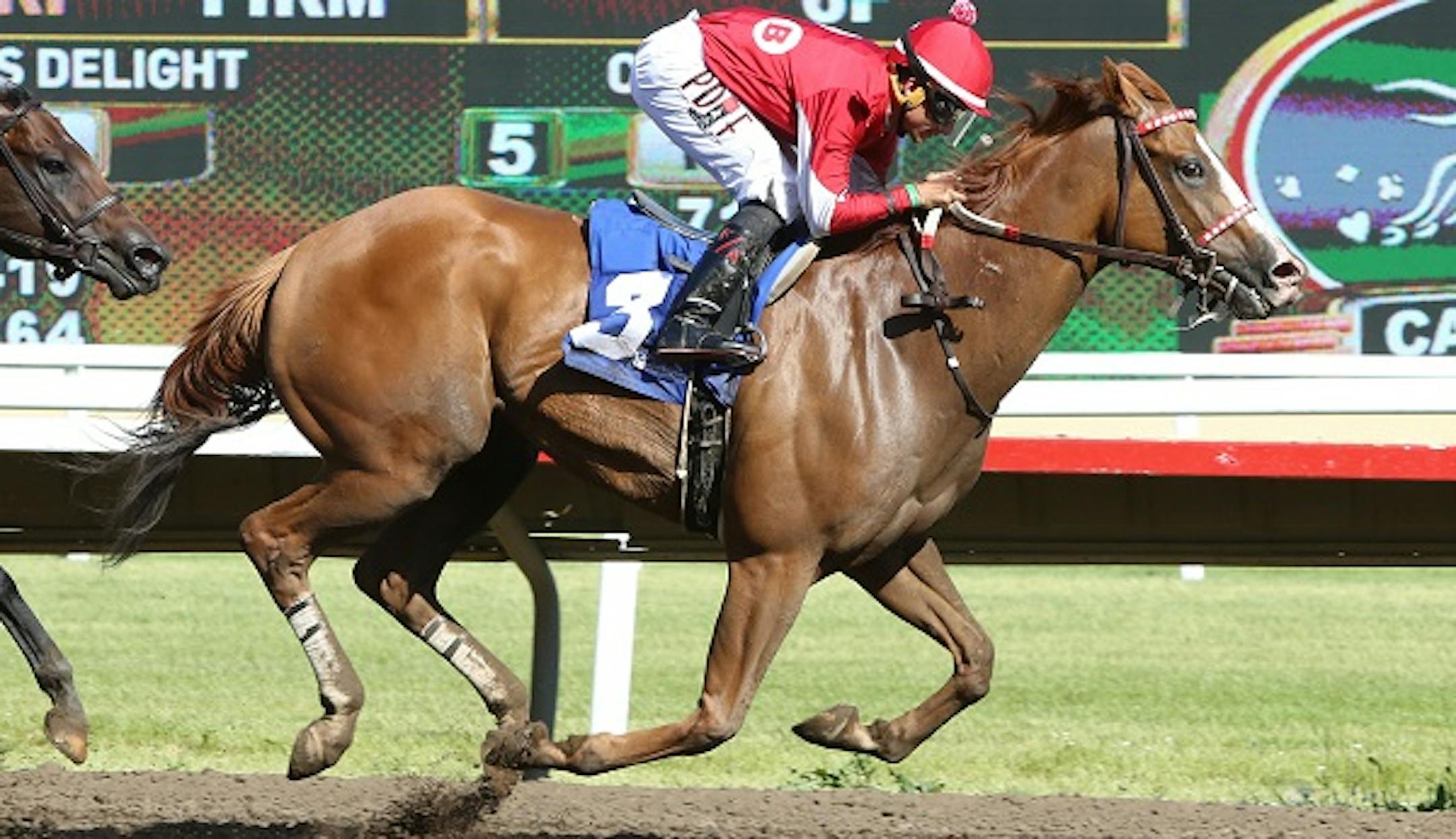 Hot Shot Kid paid $11.20 to win the 10,000 Lakes Stakes on Thursday at Canterbury Park.