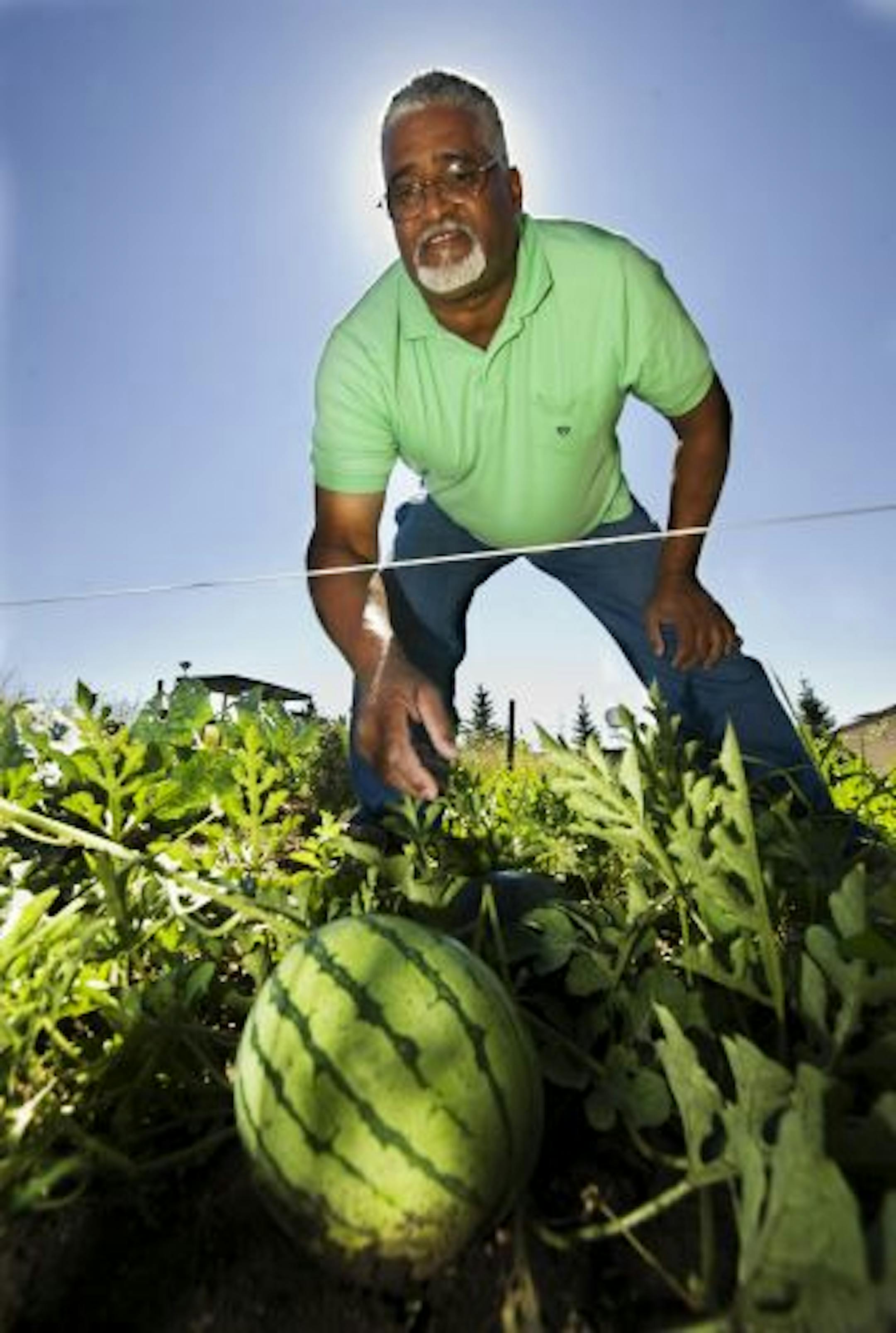 Employee Glen Davis was growing yellow watermelons in his corner of the backyard company garden at Quantum Controls.