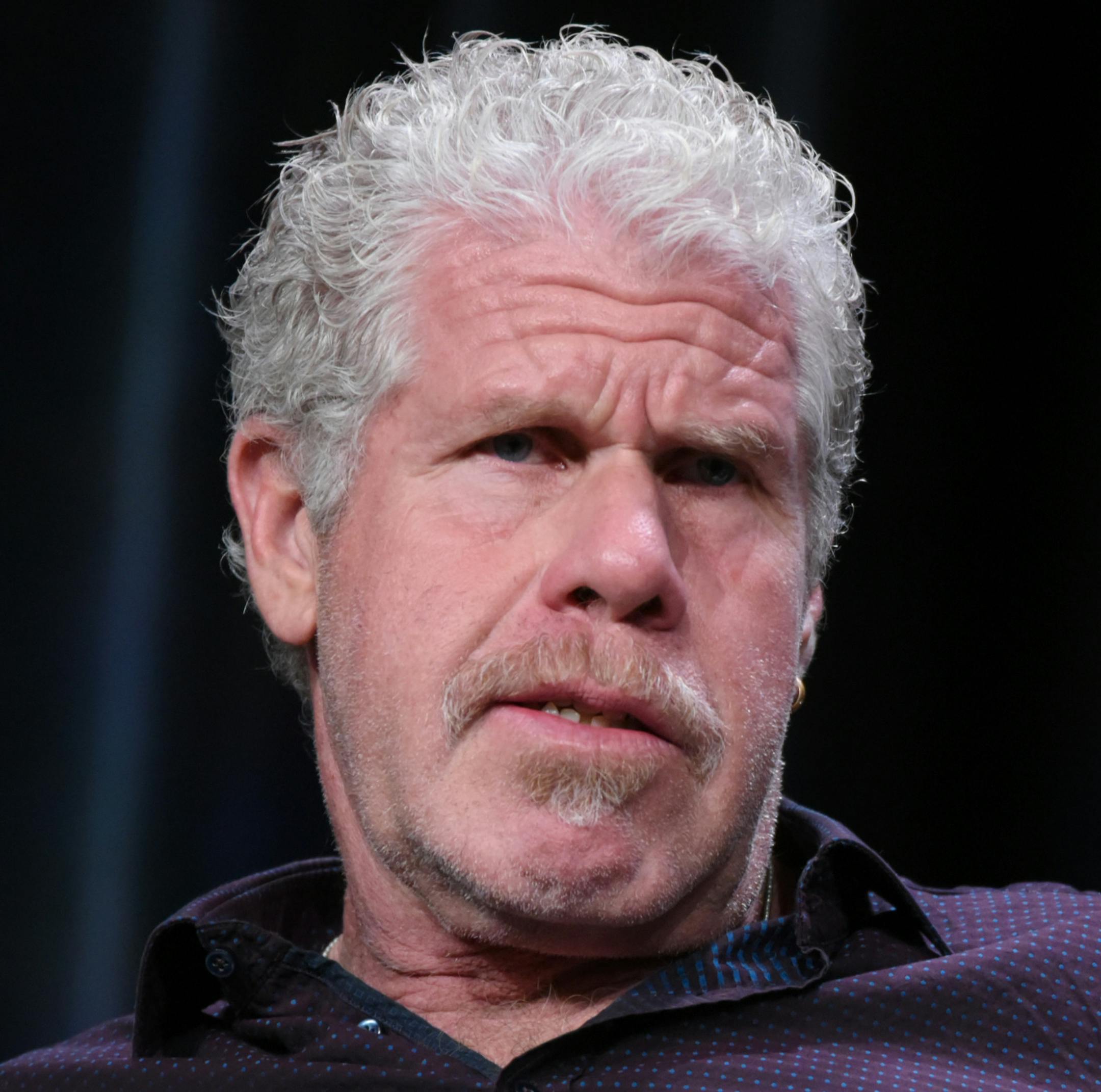 Ron Perlman participates in the "Hand of God" panel at the Amazon Summer TCA Tour at the Beverly Hilton Hotel Monday, Aug. 3, 2015, in Beverly Hills, Calif. (Photo by Richard Shotwell/Invision/AP)
