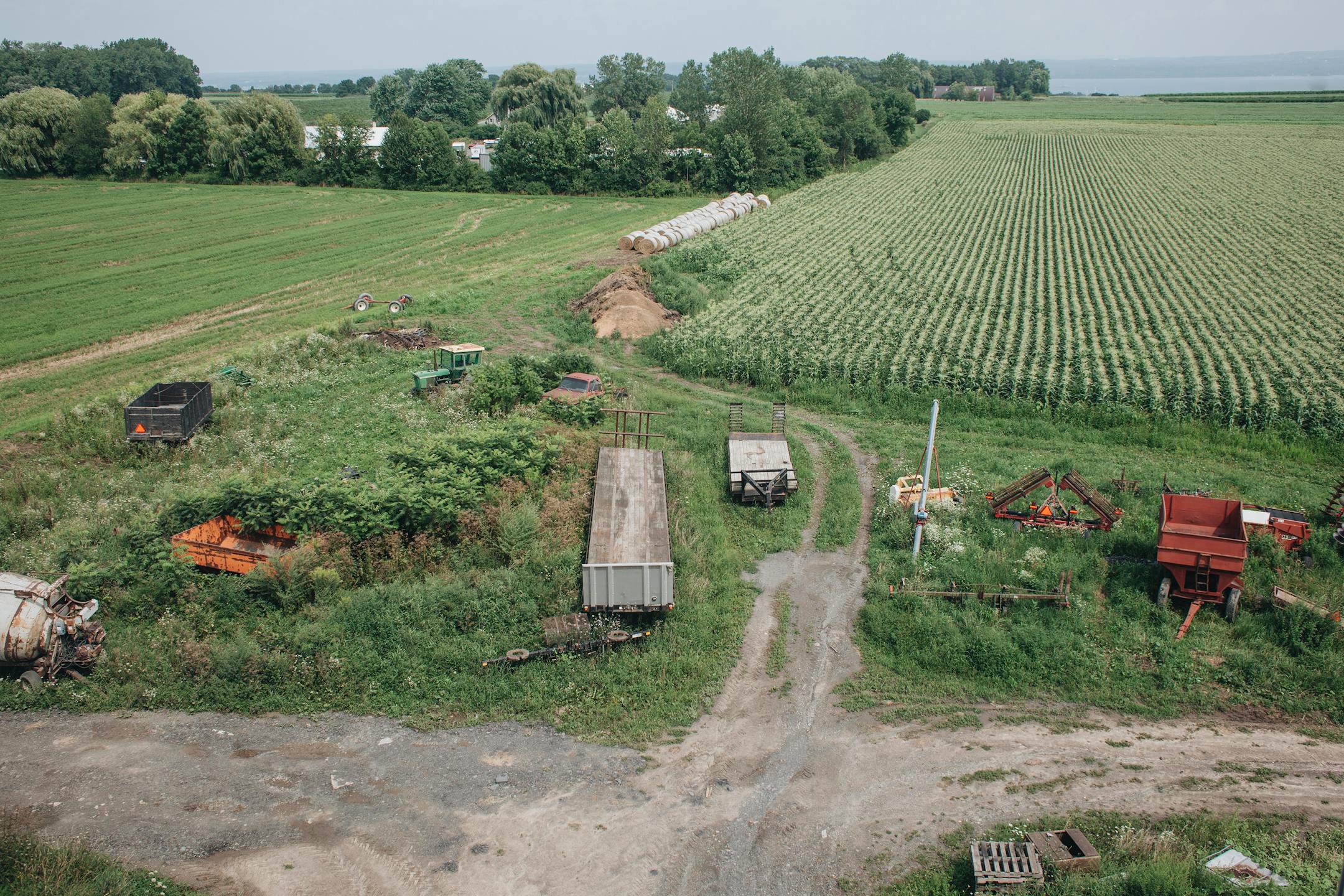 Martens Farm in Penn Yan, N.Y., Aug. 15, 2018. Farmers say a drought, flooding, a trade war and a tightening immigration policy have led to economic woes that are forcing many to question their future.
