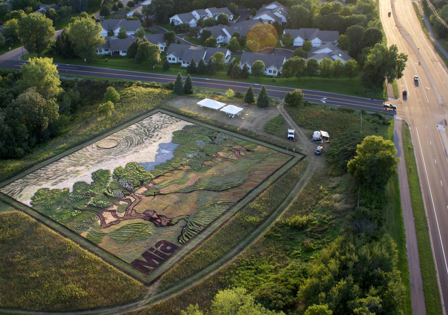 Crop artist Stan Herd re-created Van Gogh&#x2019;s &#x201c;Olive Trees&#x201d; in Eagan for the Minneapolis Institute of Art.