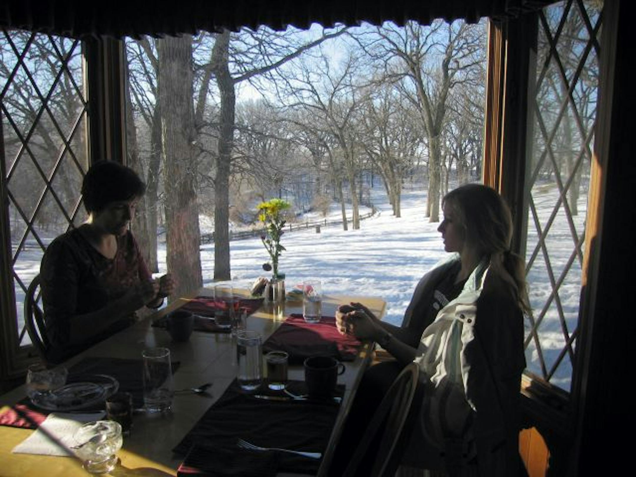 Morning's rays light the landscape and streams through a bay window in the dining room at Birdwing Spa.