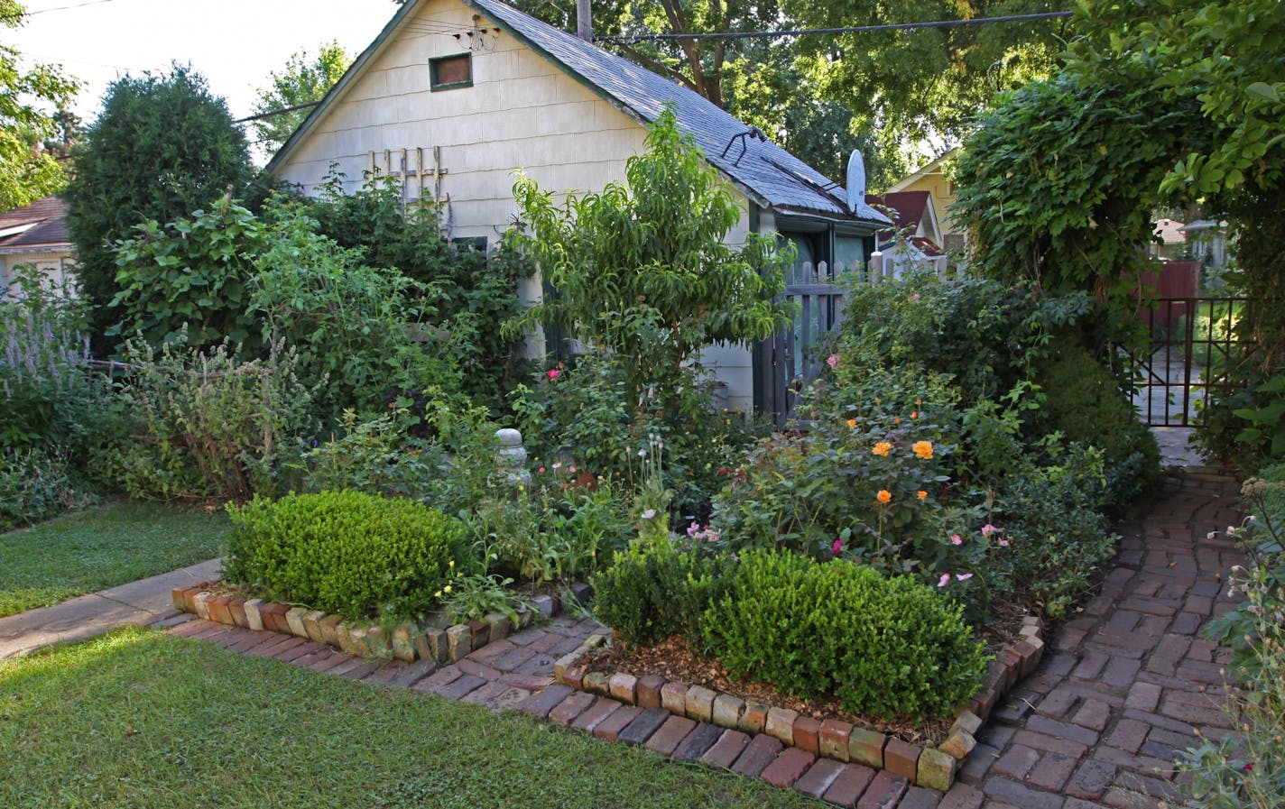 Beautiful garden winner Kate Podobinski's Bryn Mawr city gardens, 8/11/11.