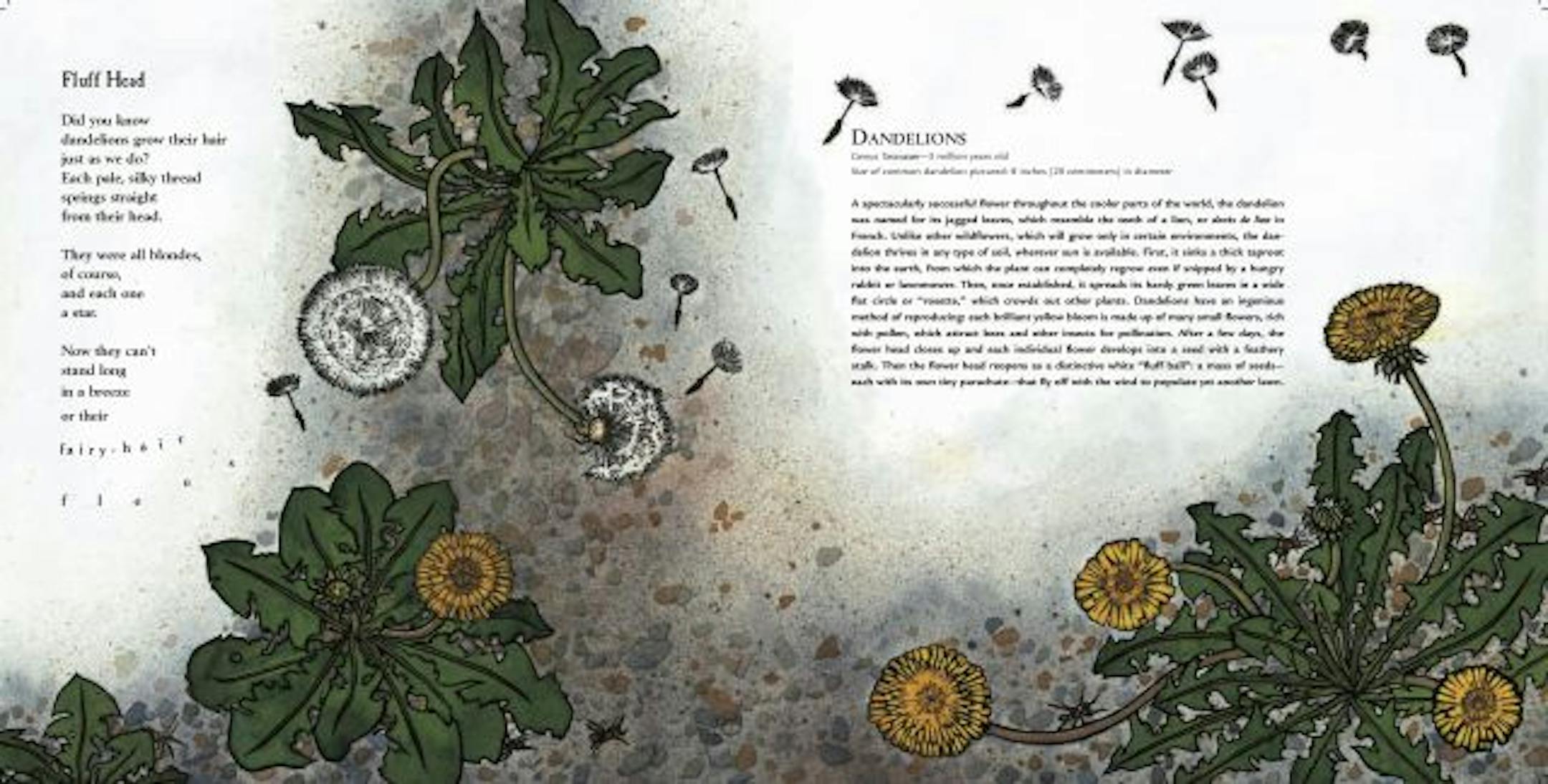 "Ubiquit.ous: Celebrating Nature's Survivors," by Joyce Sidman, illustrated by Beckie Prange