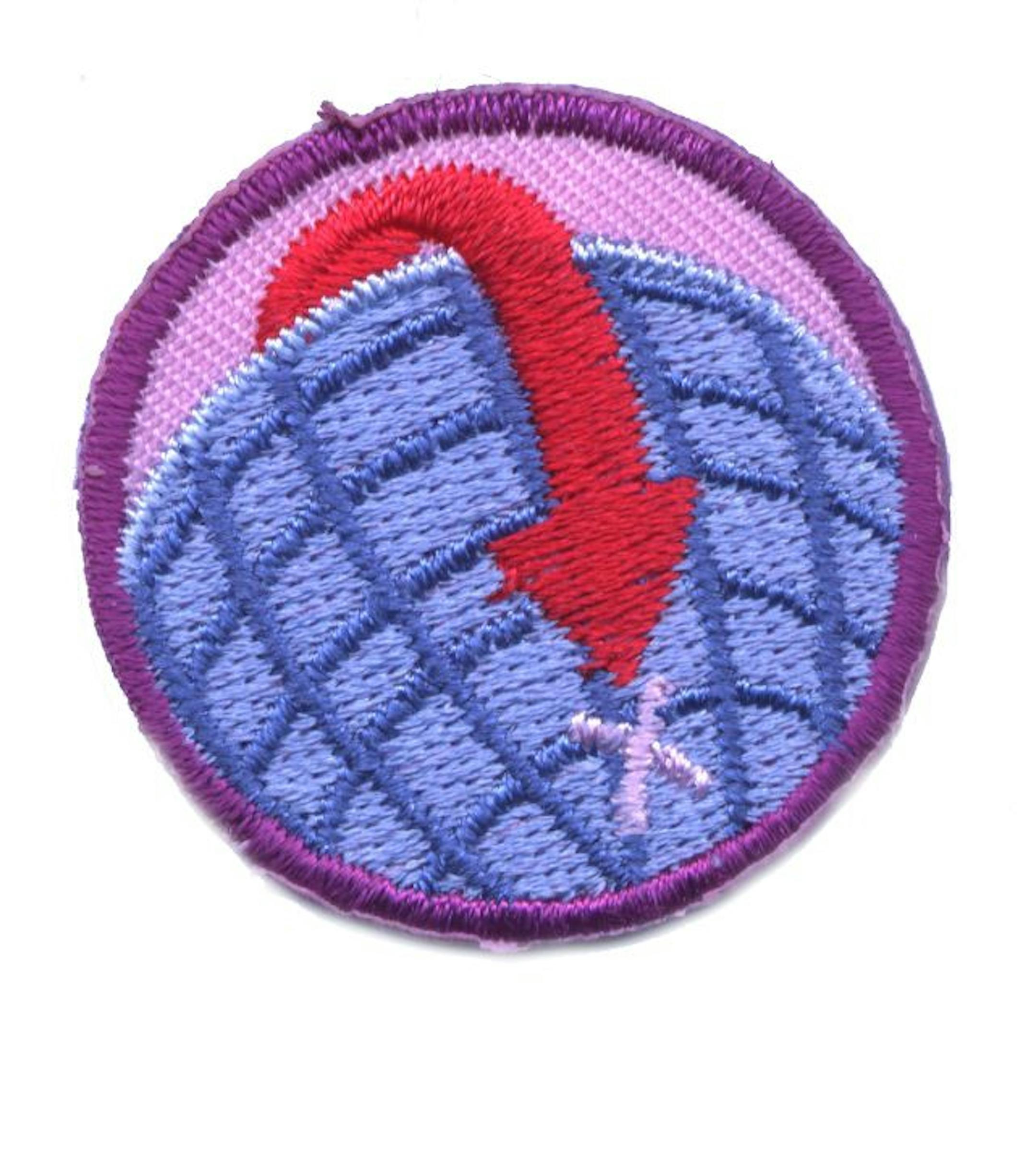Junior Girl Scout Geocaching badge