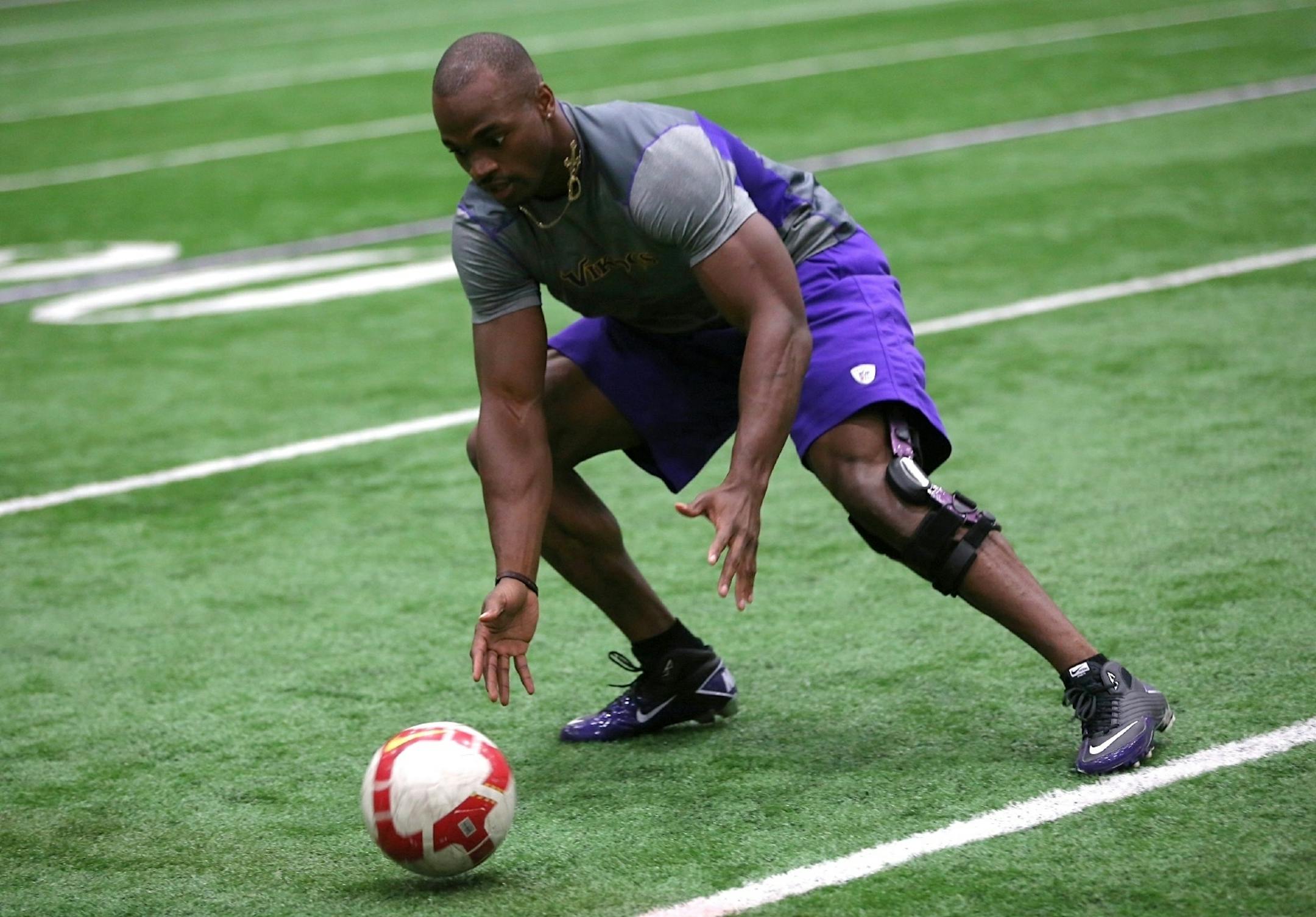 Vikings running back Adrian Peterson practiced with his trainer in front of the media after months of recovery from a torn ACL Wednesday, May 9, 2012 at Winter Park in Eden Prairie, Minn. (RENEE JONES SCHNEIDER * reneejones@star-tribune.com) Adrian Peterson