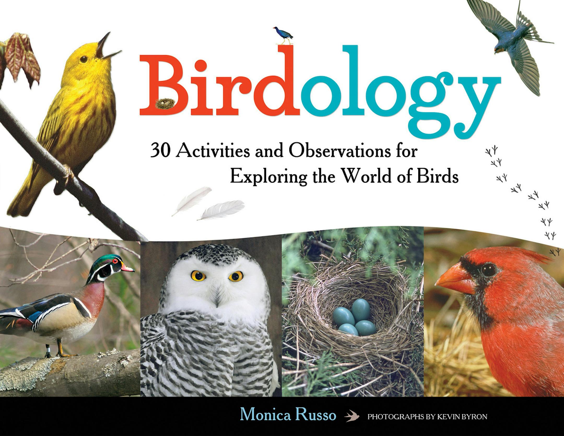 "Birdology: 30 Activities and Observations for Exploring the World of Birds" (Chicago Review Press), by Monica Russo, aims to help kids and their families learn from, and help, our feathered friends. (Photo courtesy Chicago Review Press/TNS) ORG XMIT: 1163823