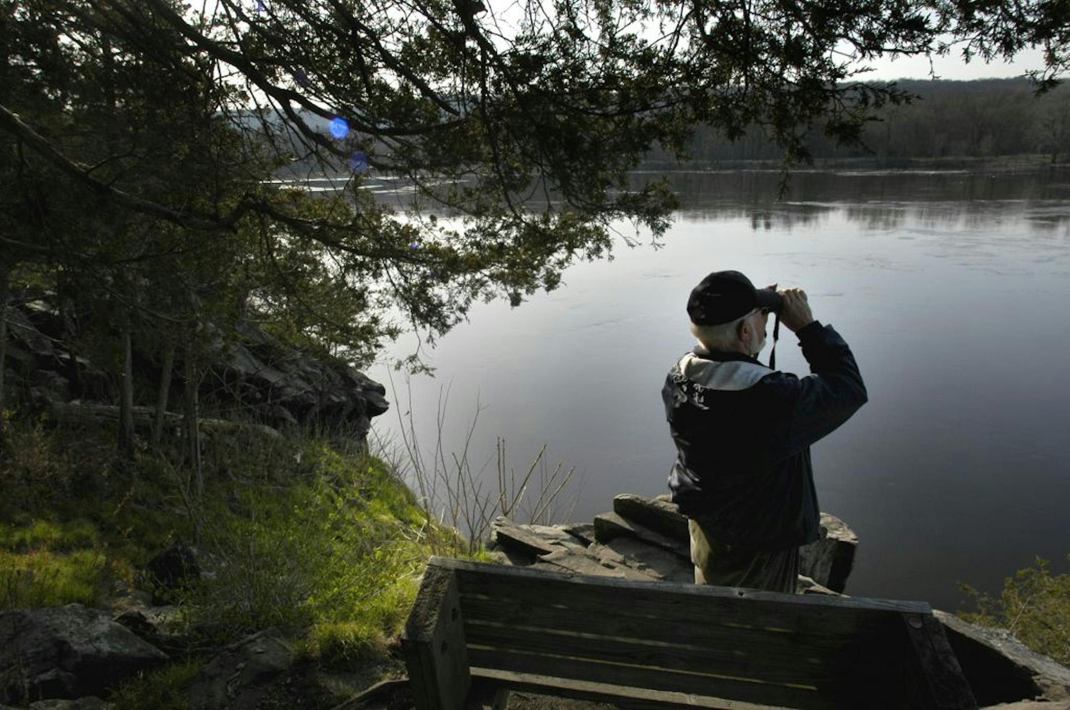 Bob Janssen pauses at an rocky overhang over the St. Croix River to scan the shoreline and skies for birds. GENERAL INFORMATION: INTERSTATE STATE PARK, MN. 44/24/2003:Bob Janssen is one of the best-known birders in the state and author of several birding books. He's documenting and making birding lists for each Minnesota state park. This bright April morning was spent listening and looking for birds in Interstate State Park near Taylor's Falls.