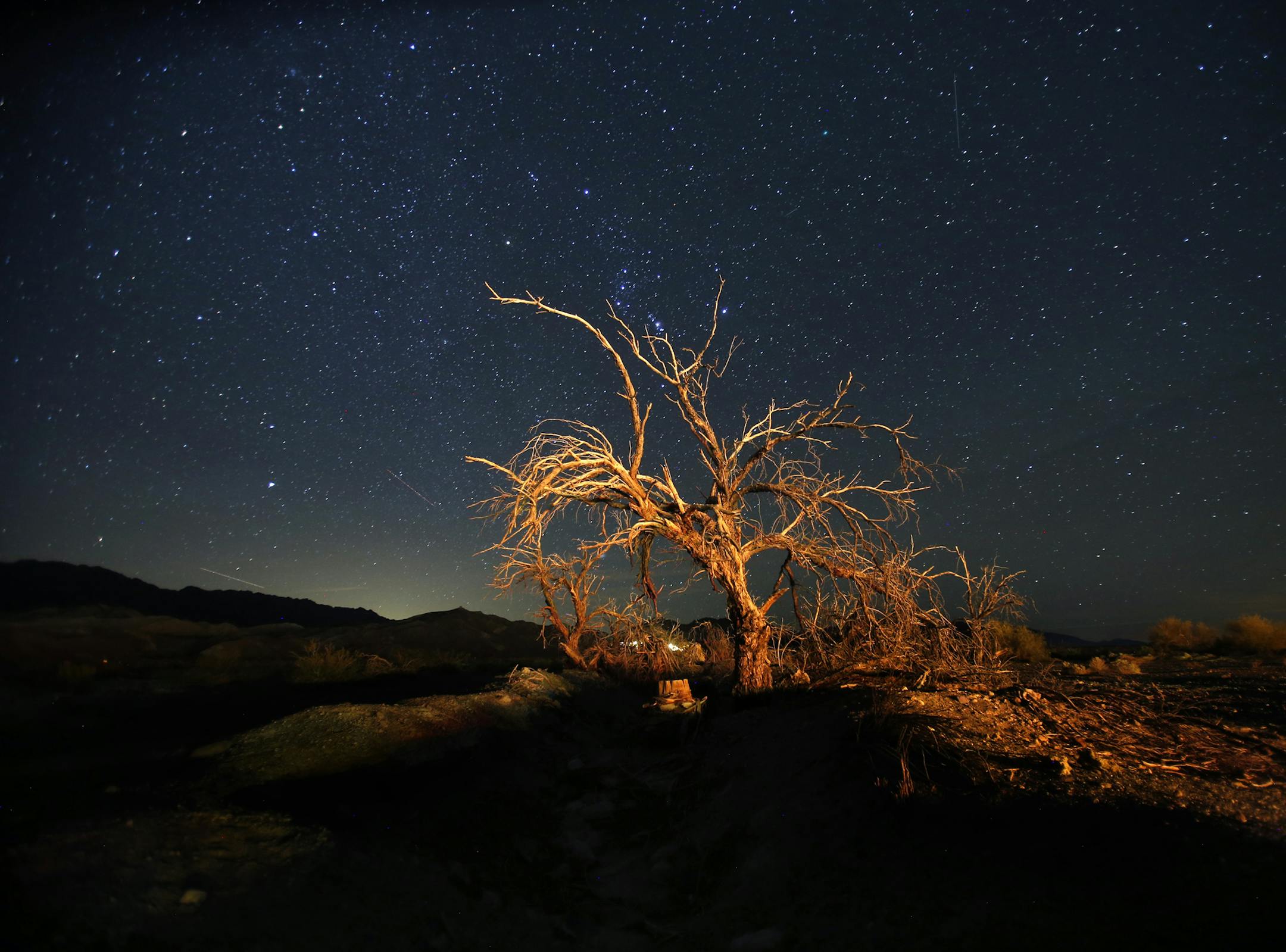 DEATH VALLEY, CA., JANUARY 8, 2015: The stars shine brightly over Death Valley National Park near Furnace Creek Ranch January 8, 2015. The stars shine brightly over Death Valley National Park near Furnace Creek Ranch. With my camera set at ISO 1600, a 16mm lens and the shutter opened for 30-seconds, I waited for passing cars to light the sides of the dead tree and tried a little bit of flash-fill. I liked the warmth of passing headlights. (Mark Boster/Los Angeles Times/TNS)