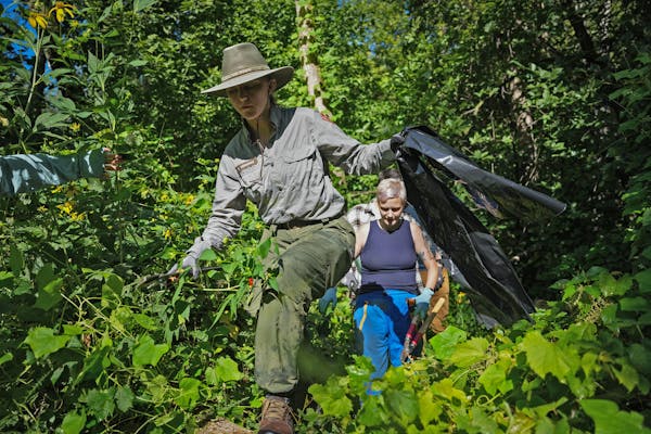 Cass Hennings, a ranger with the National Park Service, led volunteers including Nellie Siers to a work site at Crosby Farm Regional Park in St. Paul.