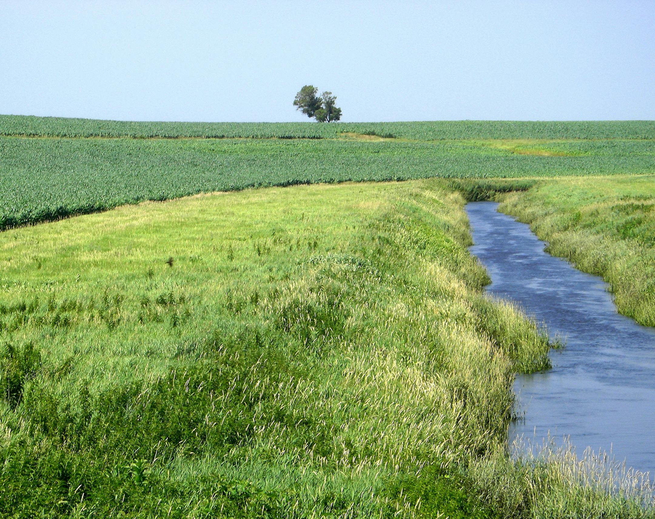 A grass buffer strip in Redwood County. A bill introduced in the Legislature would require buffer strips on most waterways. Photo courtsey Minnesota Board of Water and Soil Resources. ORG XMIT: MIN1503101329552021 ORG XMIT: MIN1503181631087264