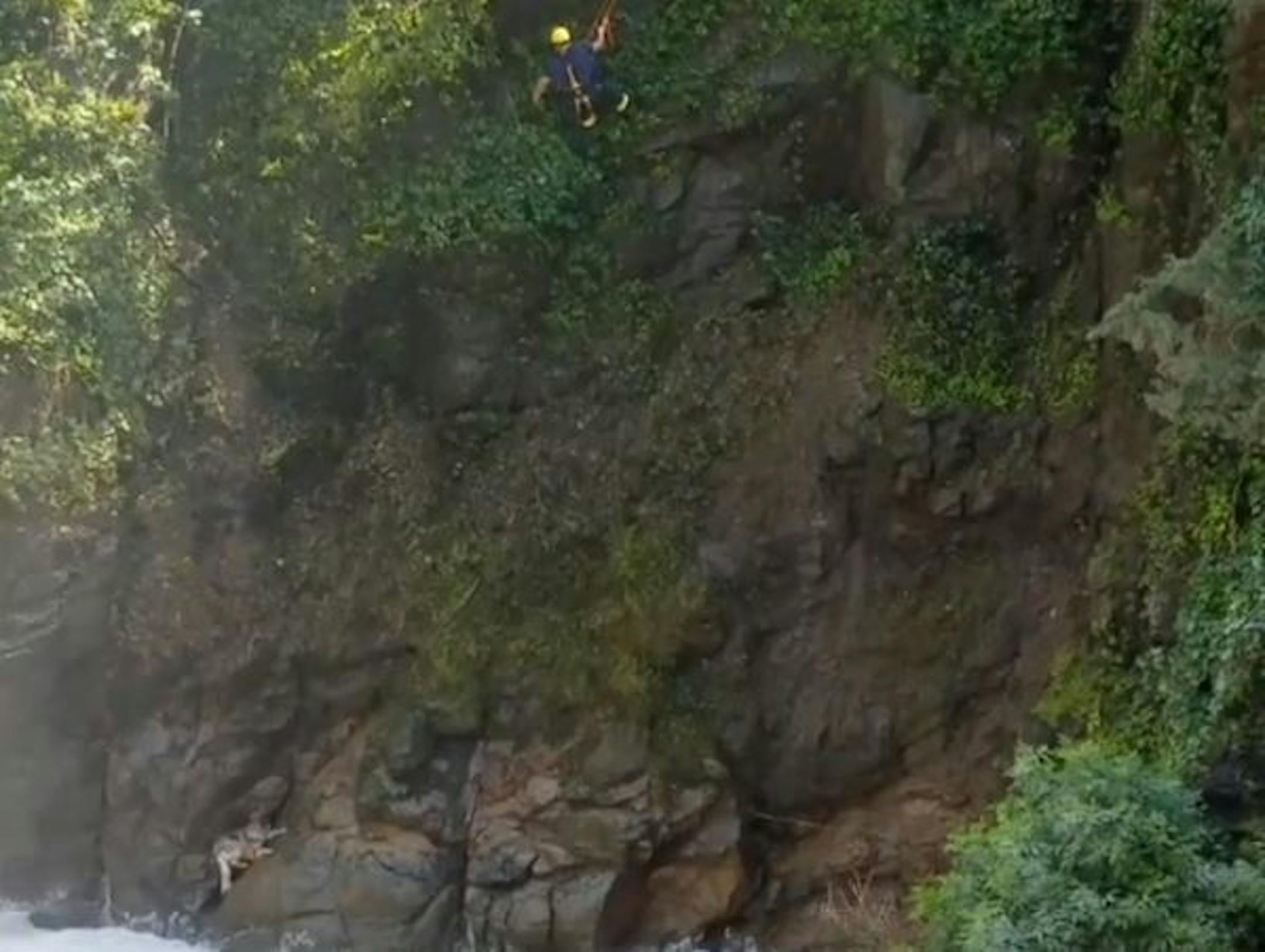 A firefighter headed down toward the stranded dog.