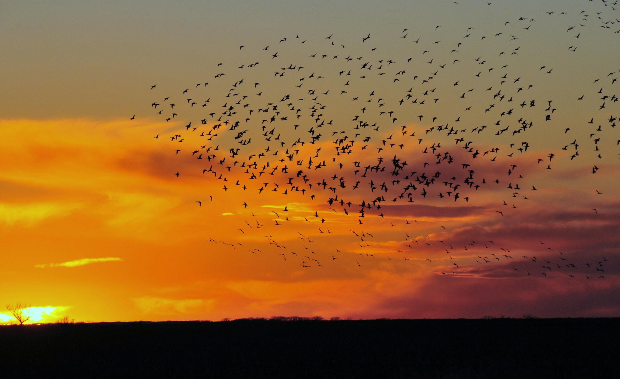 Provided by Sand Lake NWR