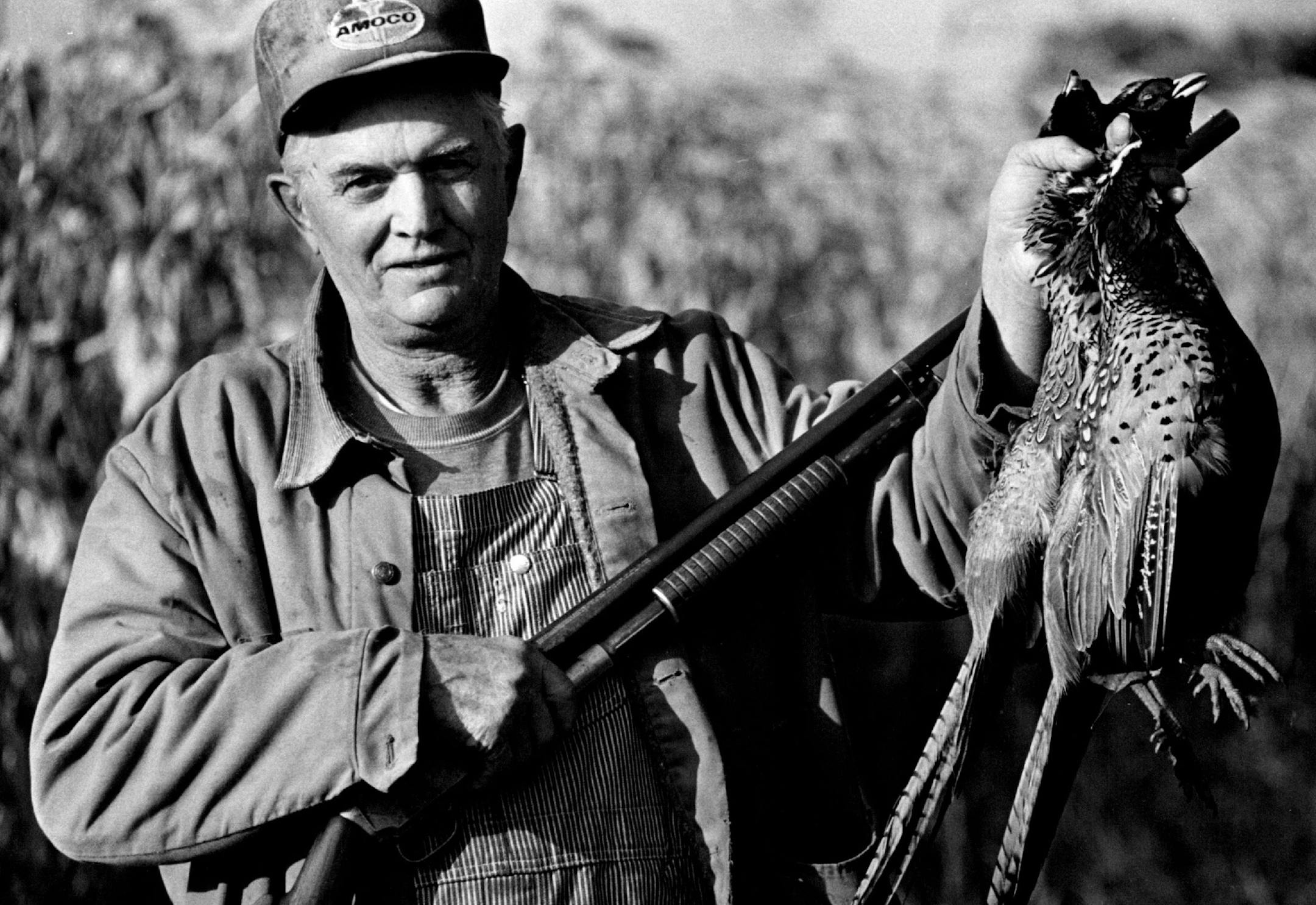 In 1982, hunters didn't have to wear blaze orange, an hunting attire was a bit more relaxed than now, as is evident in this photo. Here, Ed Larson of Wyoming, Minn., wears an Amoco hat and dungarees while bagging two roosters at Carlos Avery wildlife area near Forest Lake. October 22, 1982 Mitch Kezar, Minneapolis Star Tribune ORG XMIT: MIN2015100609553120