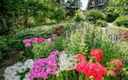 Glen Stubbe
Beautiful Gardens winner - file photo