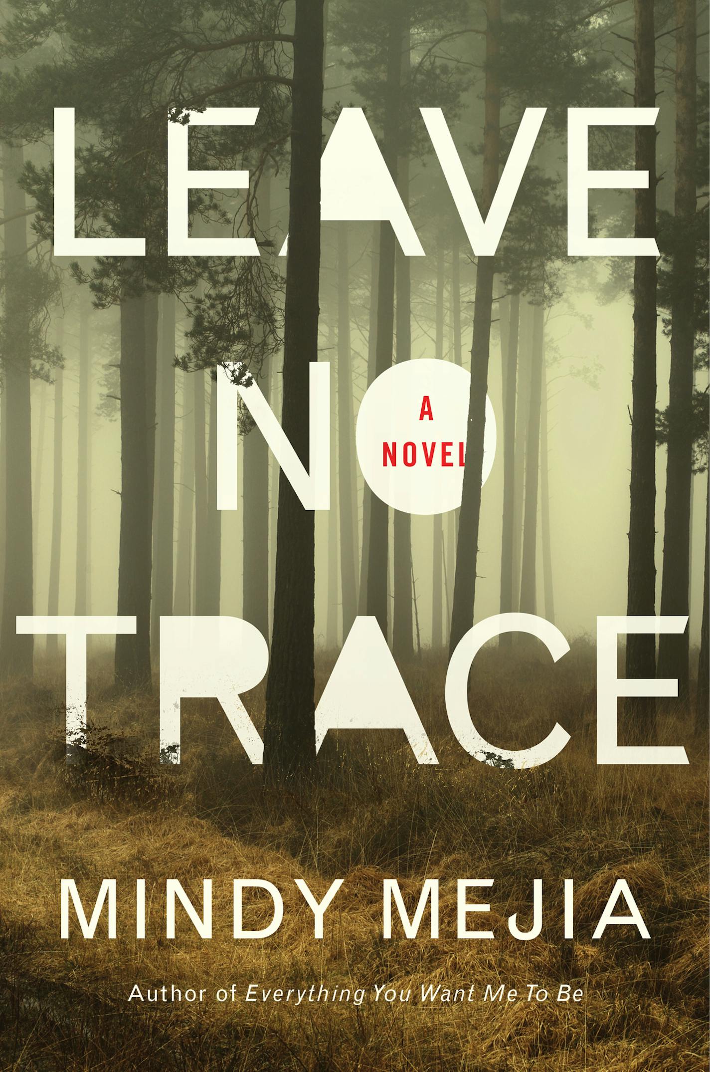 Leave No Trace, by Mindy Mejia