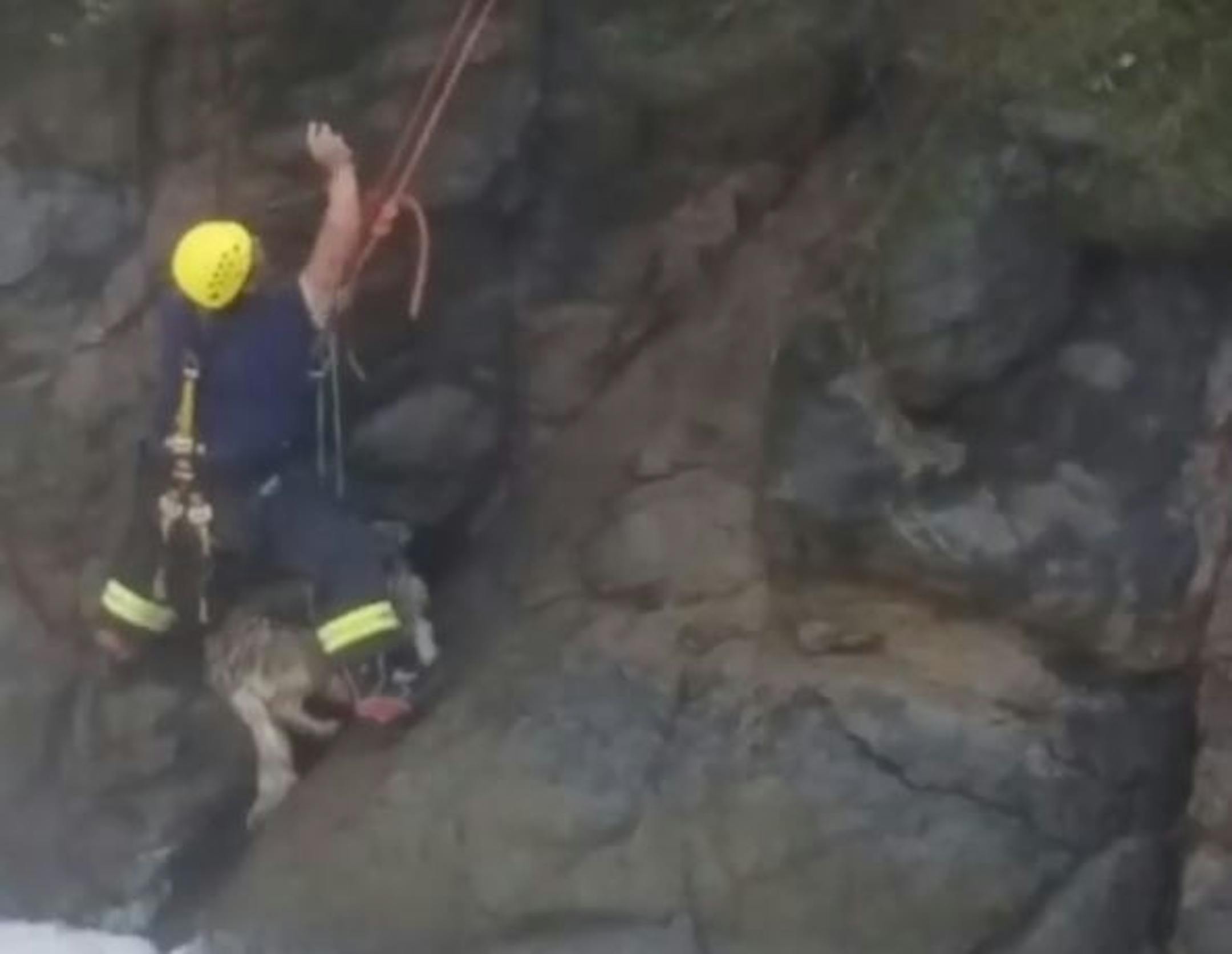 A firefighter attached the stranded dog to himself before they were both hoisted to safety.