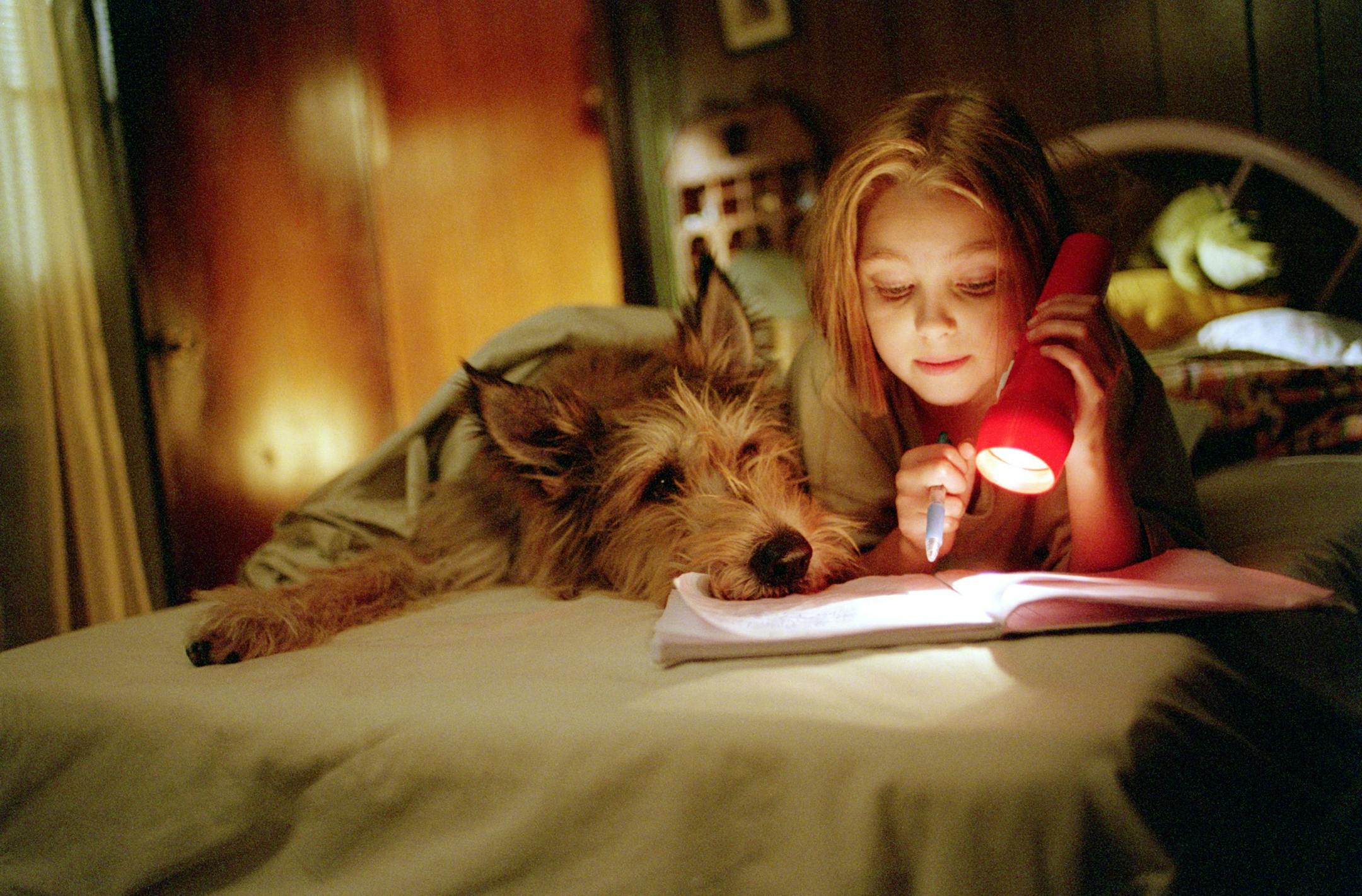 On a bed, a girl and a dog read by flashlight