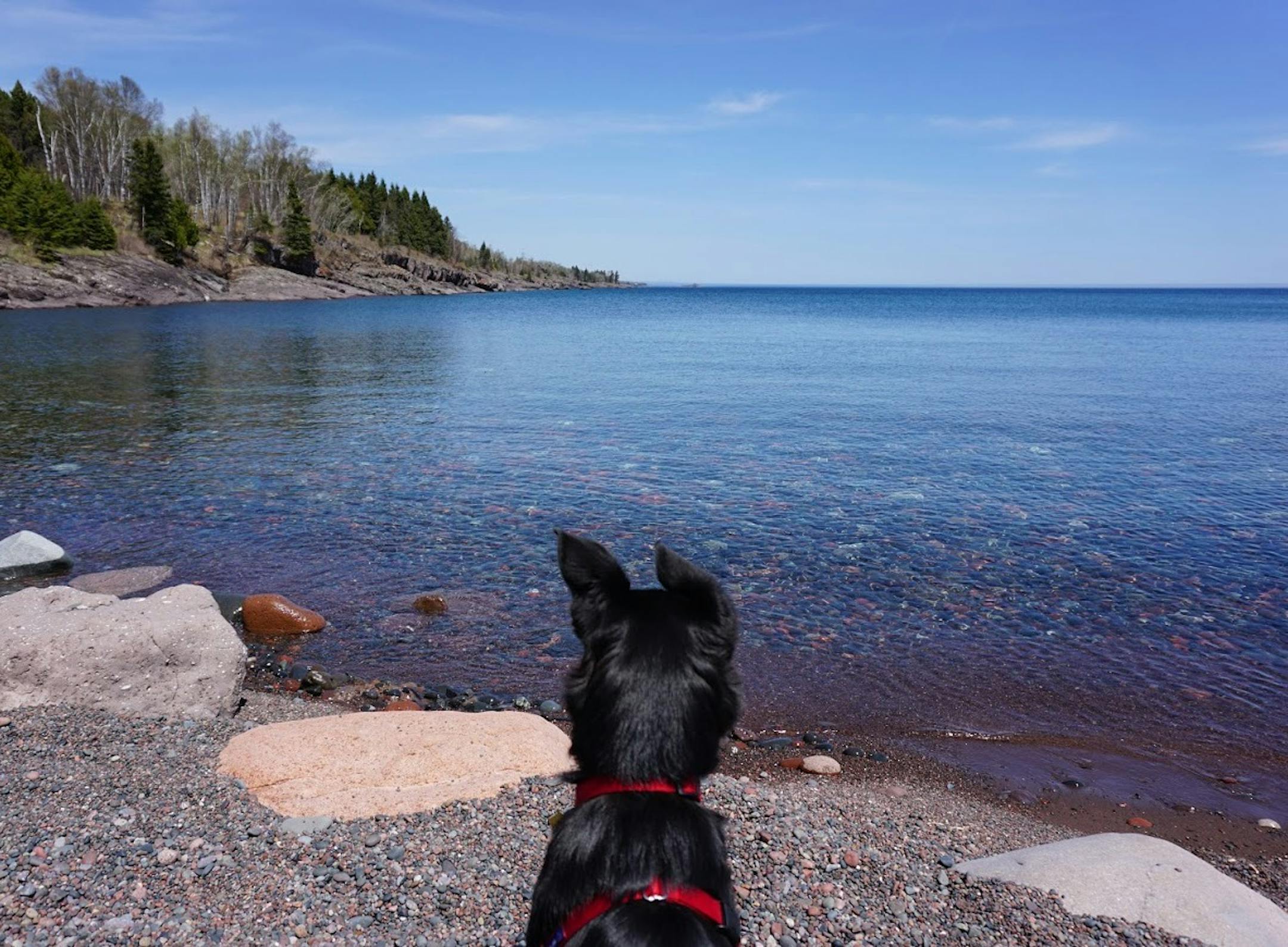 Angus met Lake Superior, and was unsure what to do next.