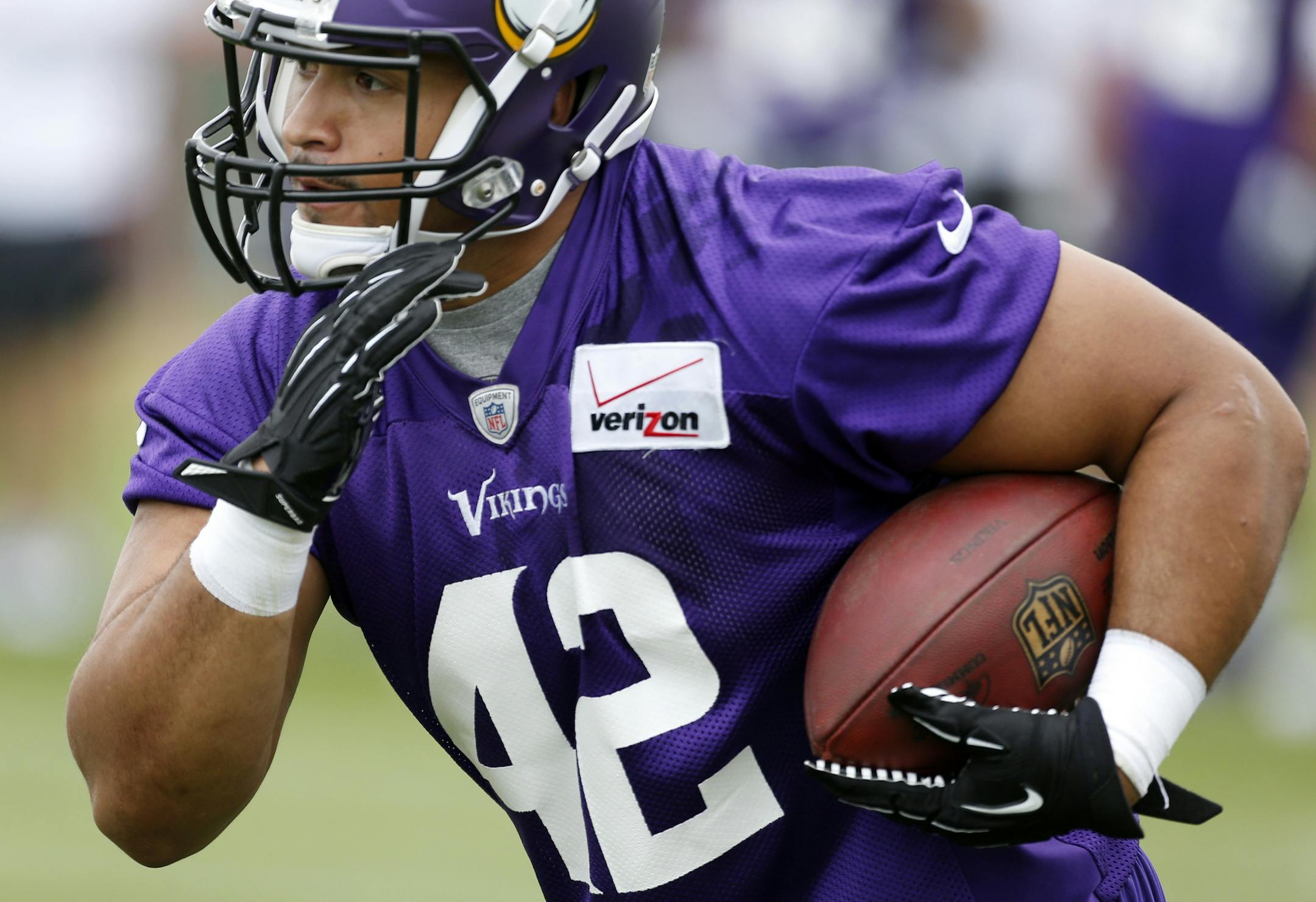 Minnesota Vikings Jerome Felton (42).