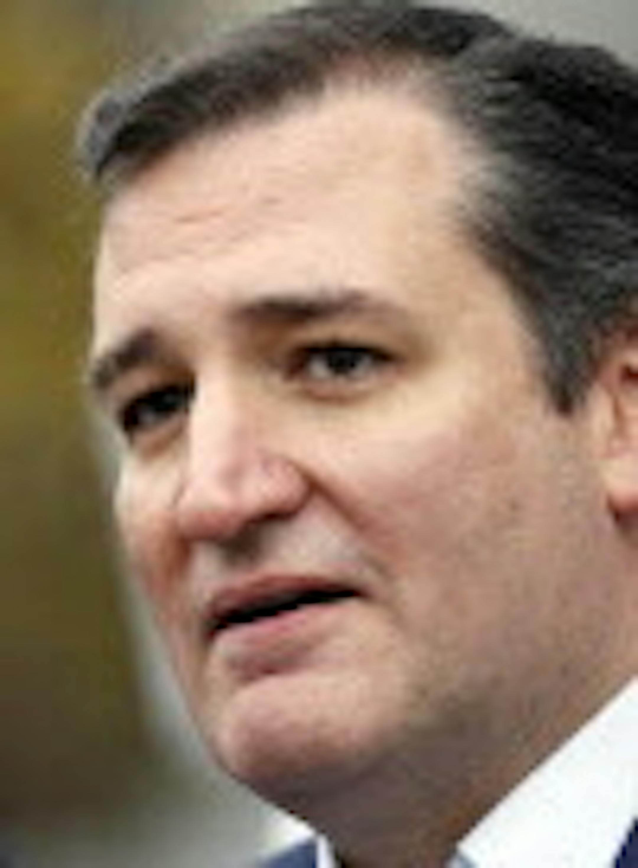 Republican presidential candidate Sen. Ted Cruz, R-Texas, talks to supporters after filing papers to be on the Nation's earliest presidential primary ballot at The Secretary of State's officeThursday, Nov. 12, 2015, in Concord, N.H. (AP Photo/Jim Cole)