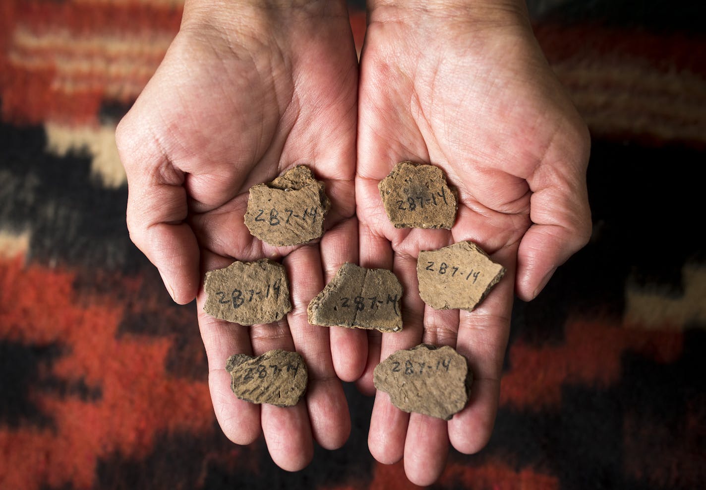 Bois Forte Heritage Museum director Beth Miller holds ceramic shards that were found near Nett Lake that have been catalogued and are part of the museum's collection. ] (Aaron Lavinsky | StarTribune) aaron.lavinsky@startribune.com Nearly 100 years after campers in northern Minnesota found a cache of 54 items used in American Indian spiritual practices, the Minnesota Historical Society will return the 54 items to the Bois Forte Band, on the Iron Range. The items, including medicines, scrolls and