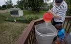 Teddy Cuellar, 4, watched his father, Matt, pour water from the shower into a rain barrel at their Cottage Grove home last week. The city had shut dow