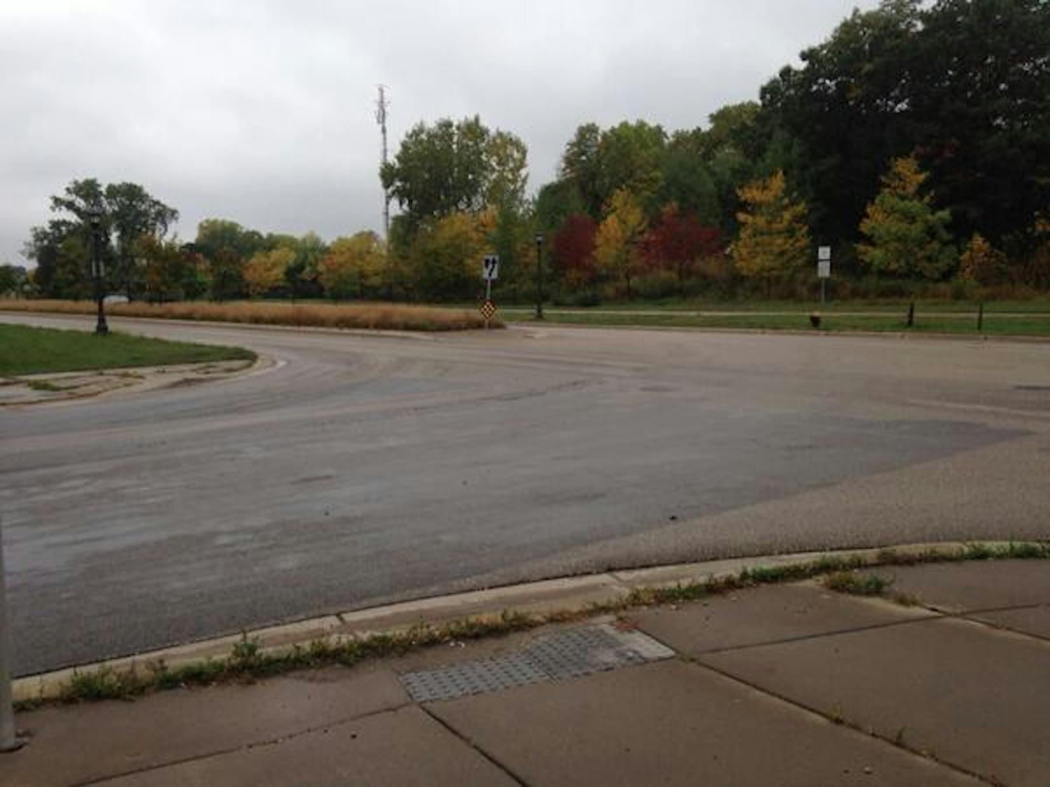 Hit-and-run victim was found to the left, in the median on Phalen Blvd., at the intersection with Atlantic Street, in St. Paul.