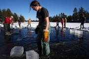 Aurora Wahlstrom moved blocks of ice from Picketts Lake at the Steger Wilderness Center for the annual Ice Ball ice harvest on Feb. 3 in Ely