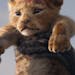 A FUTURE KING IS BORN &#x2013; In Disney&#x2019;s all-new &#x201c;The Lion King,&#x201d; Simba idolizes his father, King Mufasa, and takes to heart hi