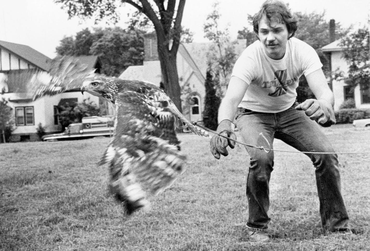 May 22, 1982 Weary wings Ed Haugan, a volunteer at the Raptor Center at the University of Minnesota, St. Paul Campus, exercised some of his injured charges this week. Above, an immature female red-tailed hawk flew on a 100-foot tether and. Mitch Kezar, Minneapolis Star Tribune