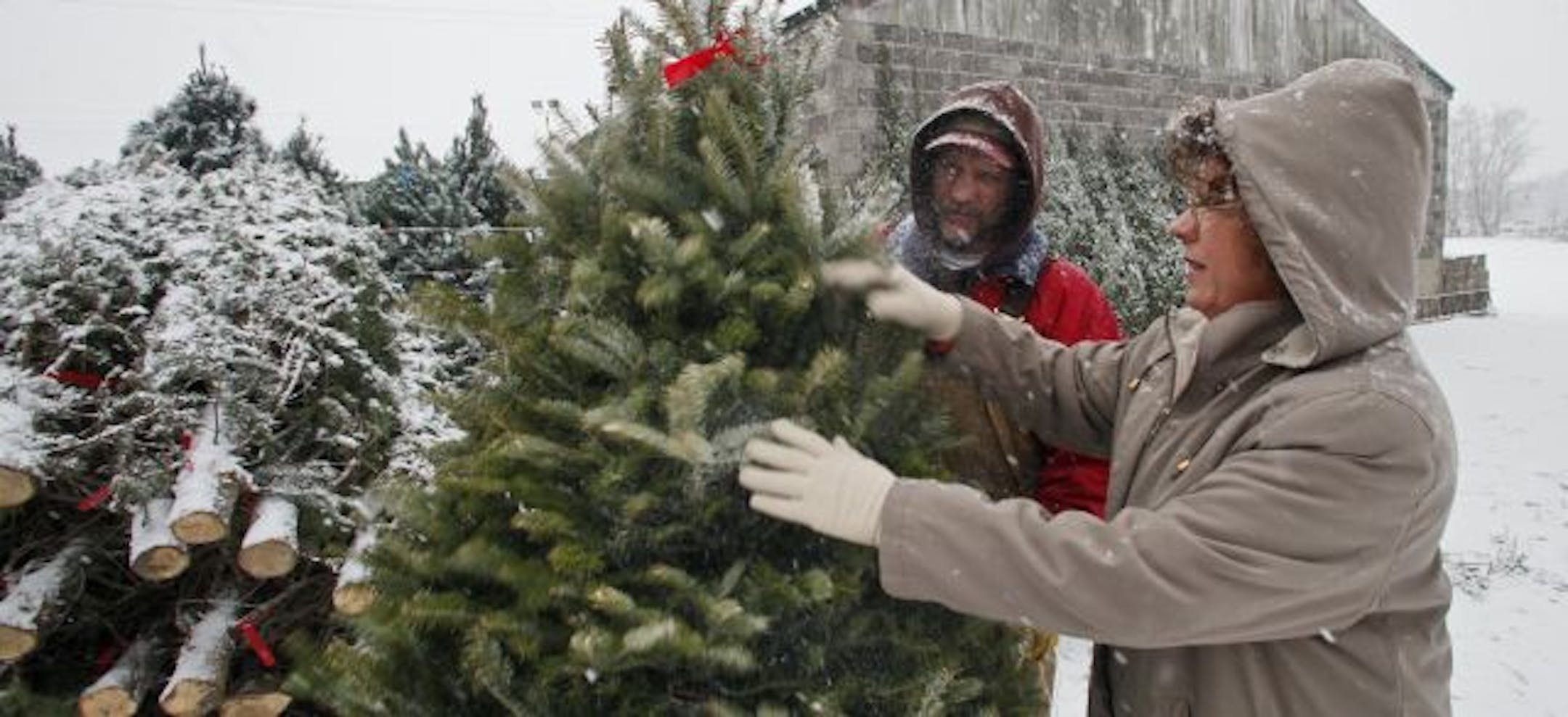 Family members Charlie Fischbach, left and Mary Johnson prepared a Christmas tree for sale on the farm that is soon to be condemed.