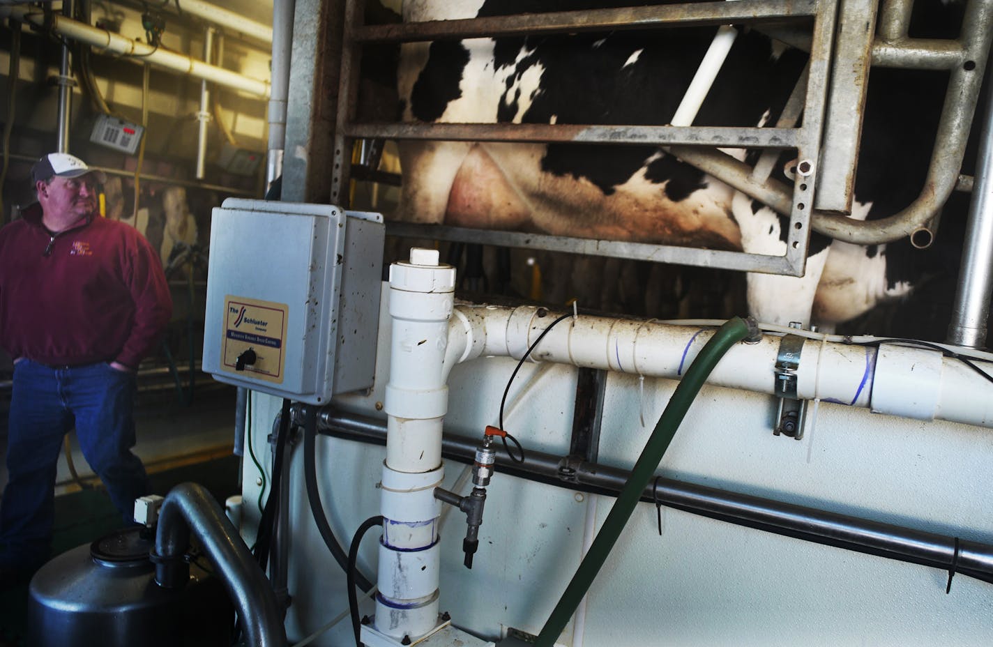 Blake Otte makes sure his Holstein cows get milked three times a day.]The Otte family (Blake & Chicky) won "Minnesota Farm of the Year" for their Square Deal Dairy Farm in Dakota County.Richard Tsong-Taatarii/rtsong-taatarii@startribune.com