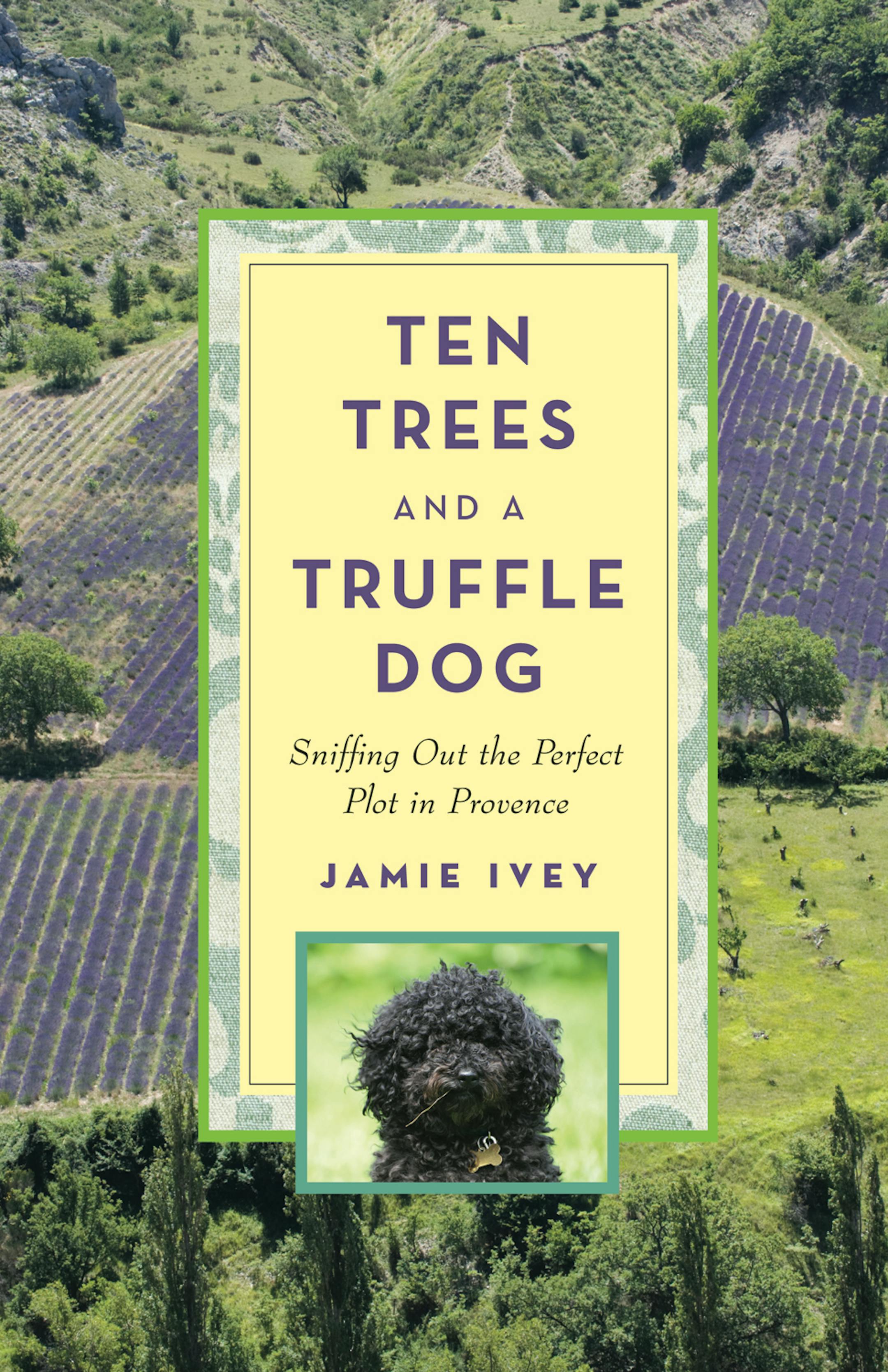 "Ten Trees and a Truffle Dog," by Jamie Ivey