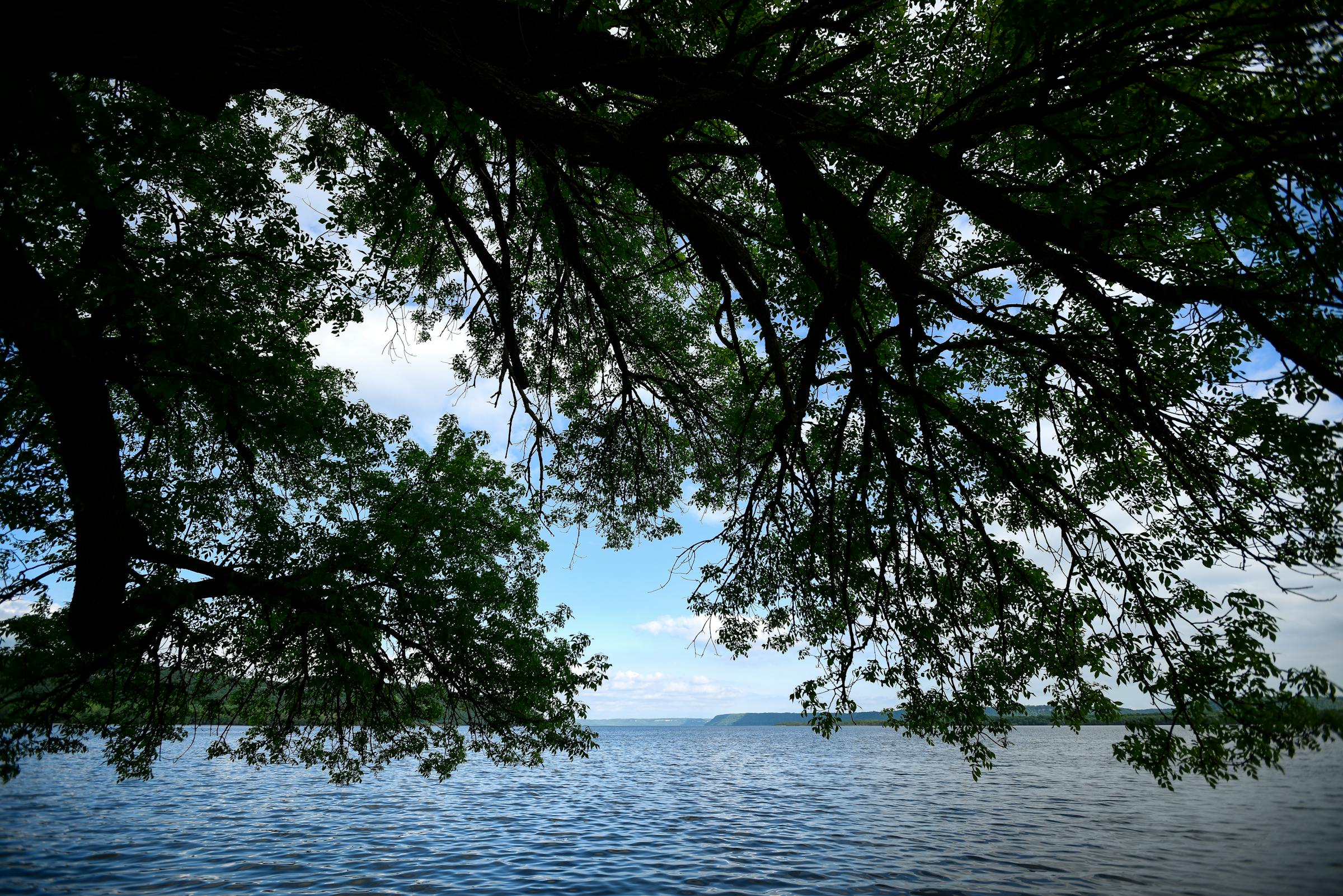 https://arc.stimg.co/startribunemedia/DFYYESPXJVHRRL5ZFFWWGNBTCI.JPG?&w=1200&ar=1.91:1&fit=crop
