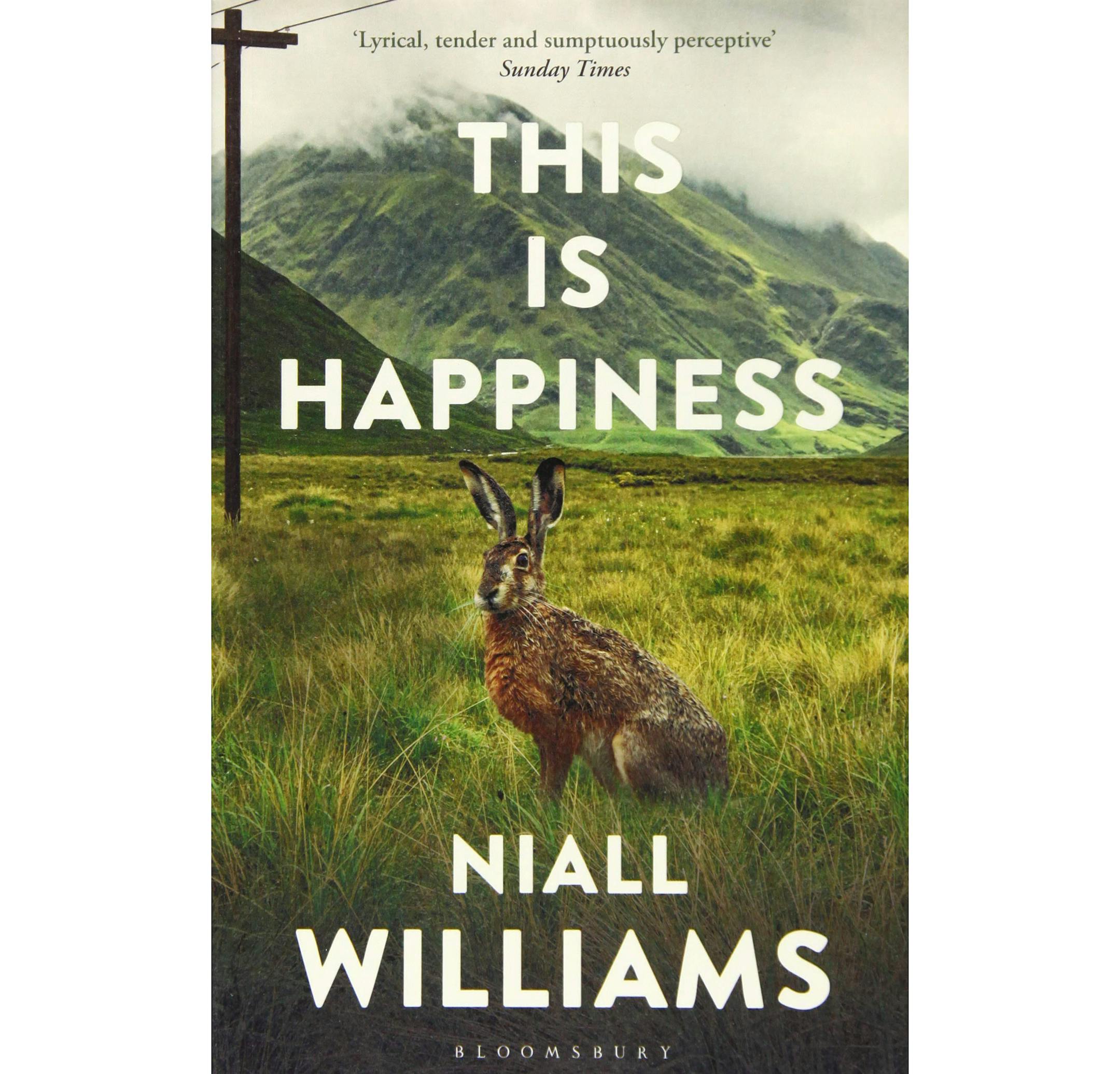 "This Is Happiness" by Niall Williams
