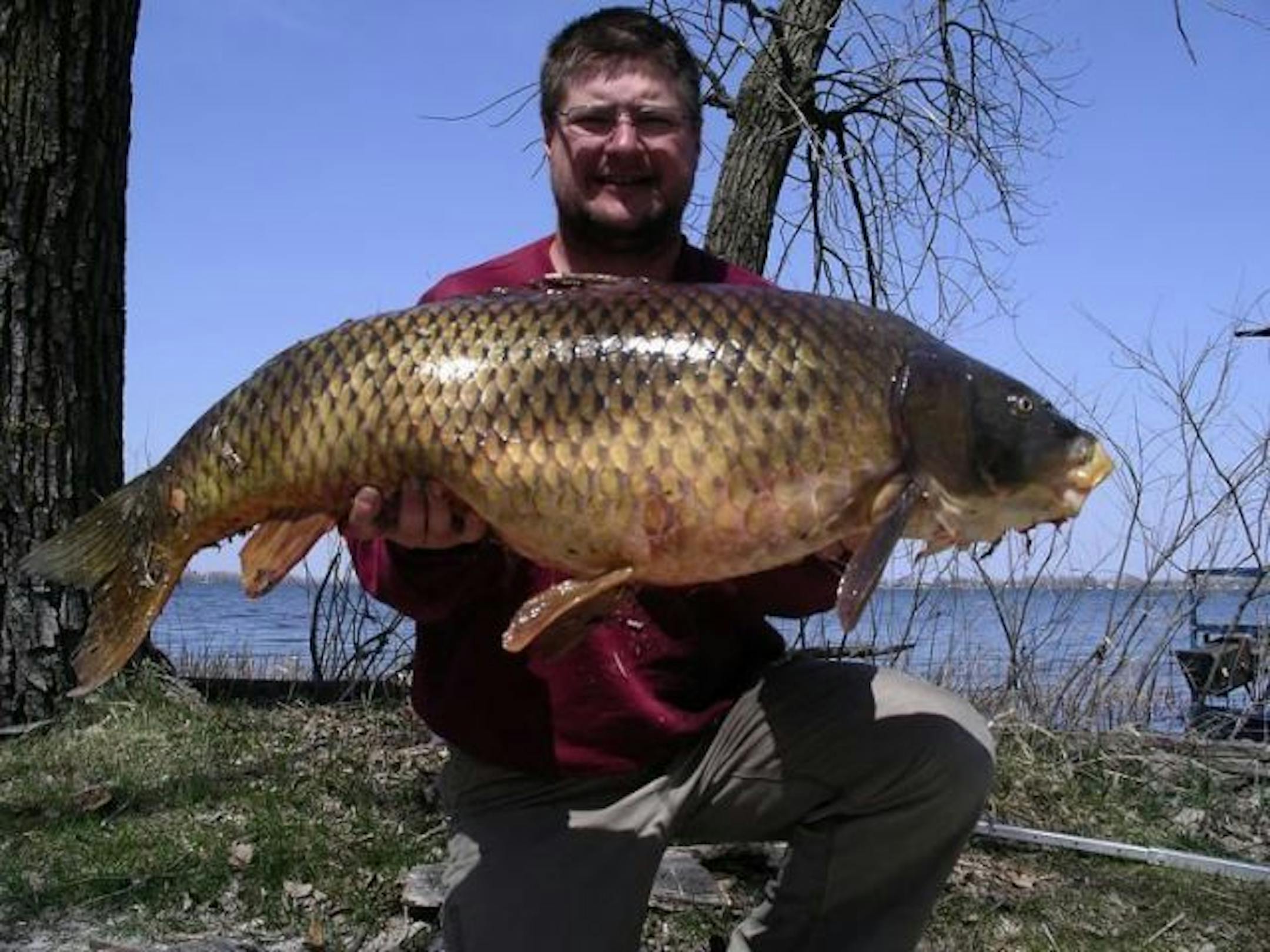 Joe Morgan of Park Rapids, Minn., hoists a monster carp taken while bowfishing.