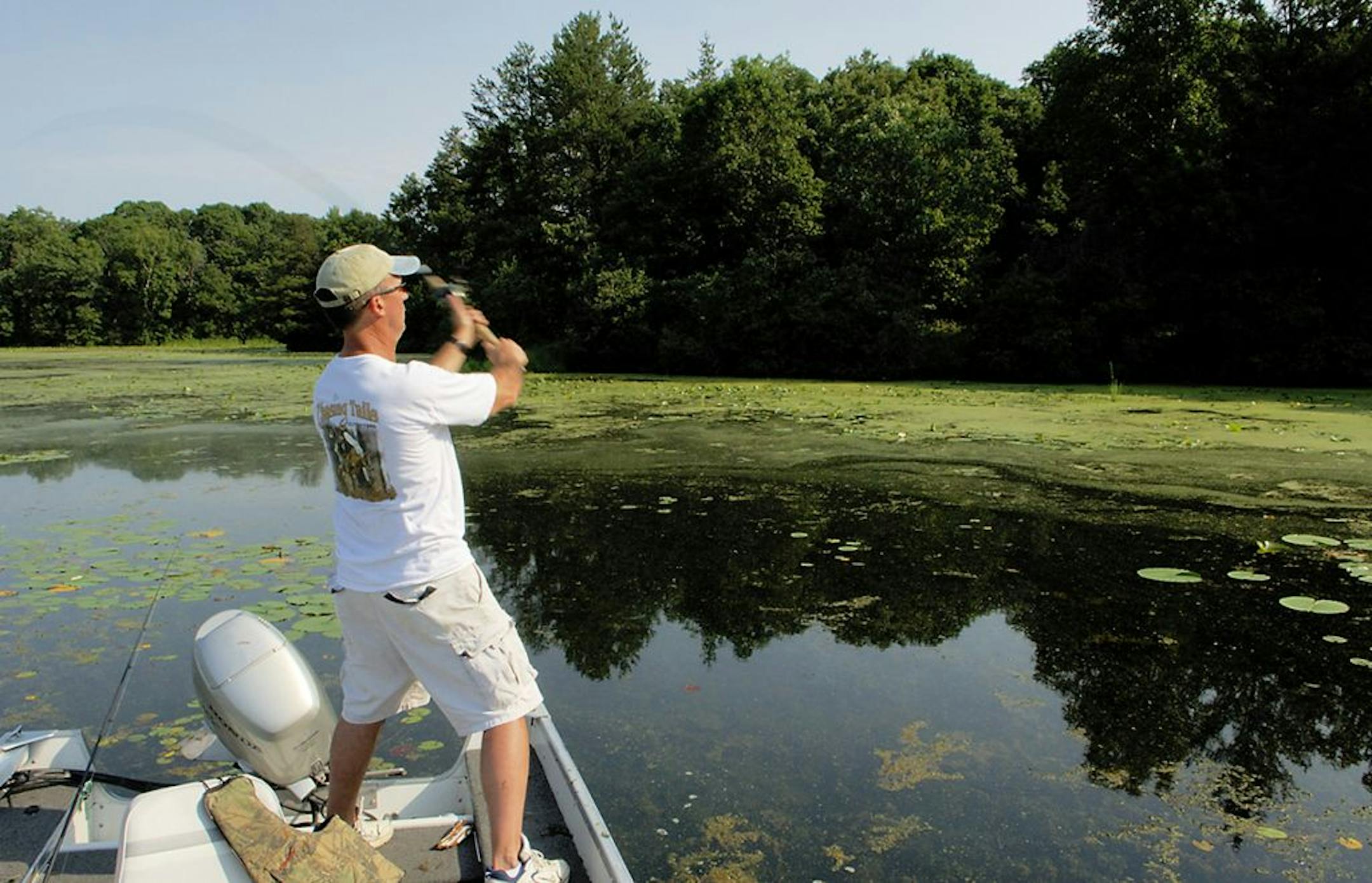 Angler is casting from boat along a weedy secluded shoreline of the Mississippi River north of Brainerd. The undeveloped shoreline is one of the longest of its type in Minnesota.